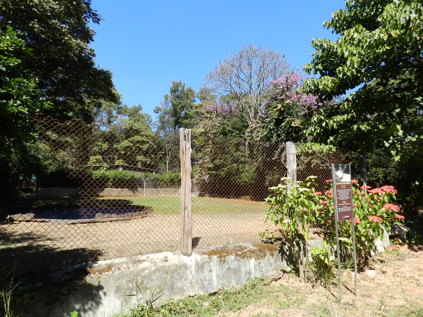 Red deer exhibit - Belo Horizonte zoo