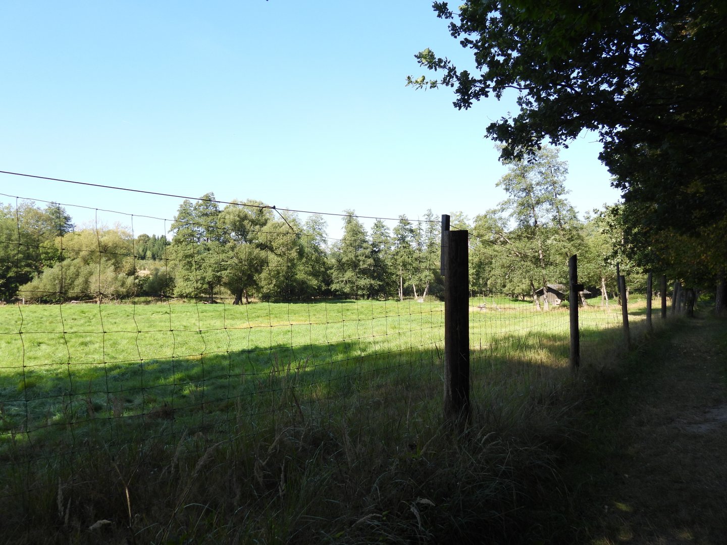 Red deer exhibit - Naturpark Geras