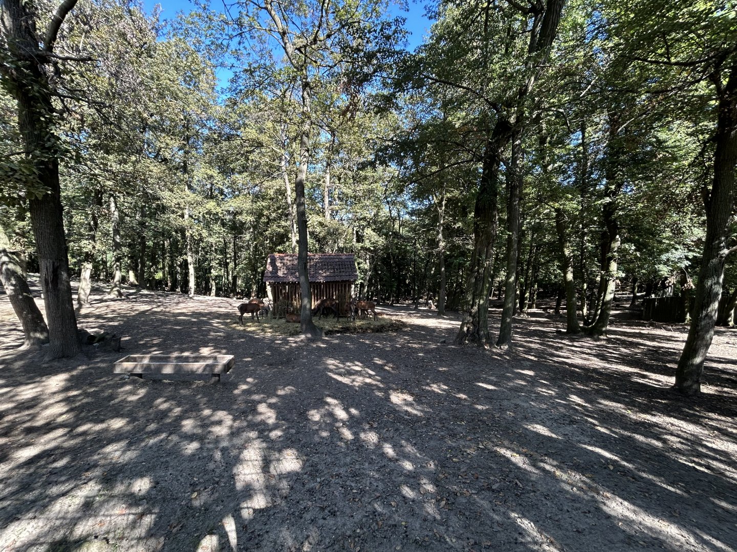 Red Deer & Mouflon Exhibit