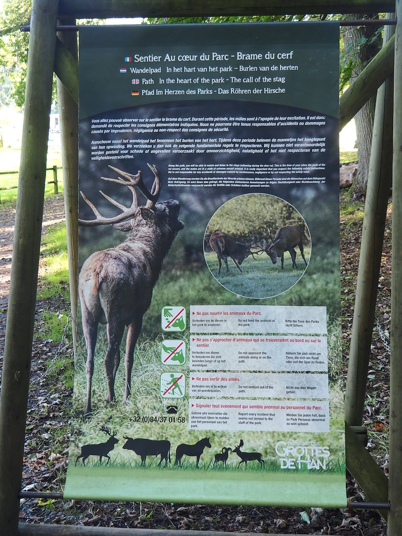 Red deer rut signage, 2023-09-26