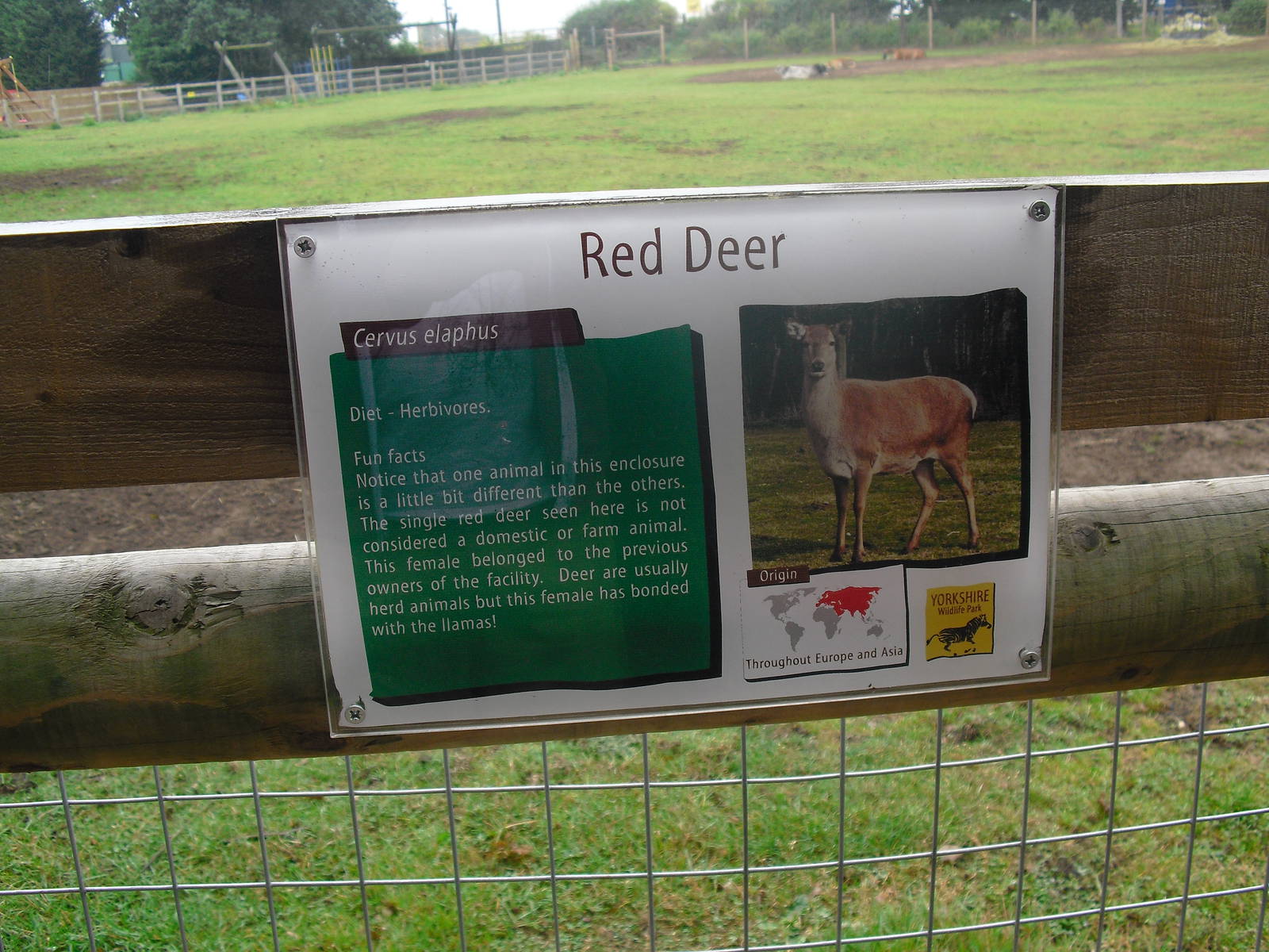 Red Deer Sign - 06/09/2011