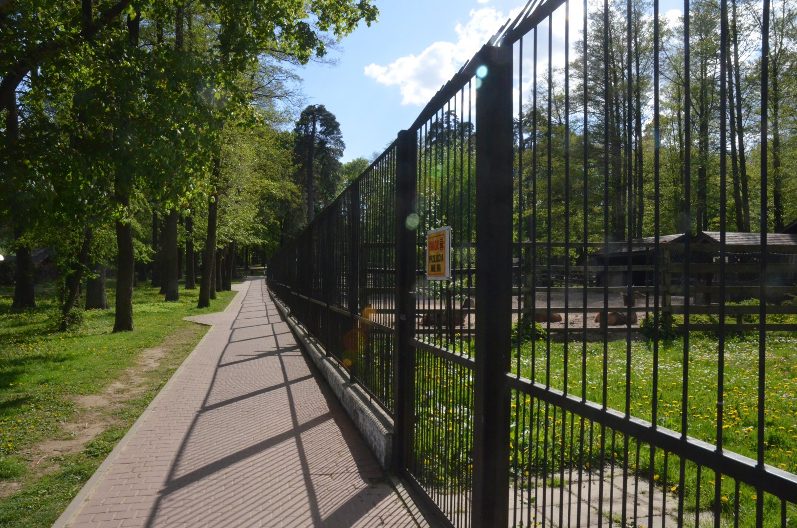 Red Deer Viewing from Perimeter Fence at Akcent Zoo Białystok, 08/05/19