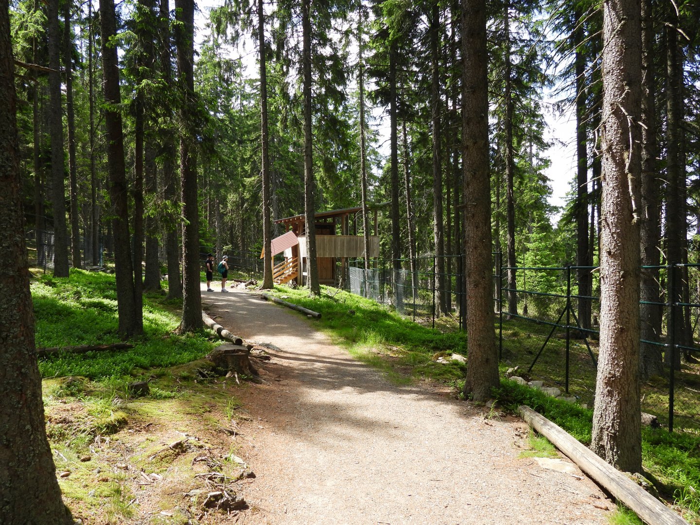 Red deer visitor area - National park Sumava, visitor center Kvilda
