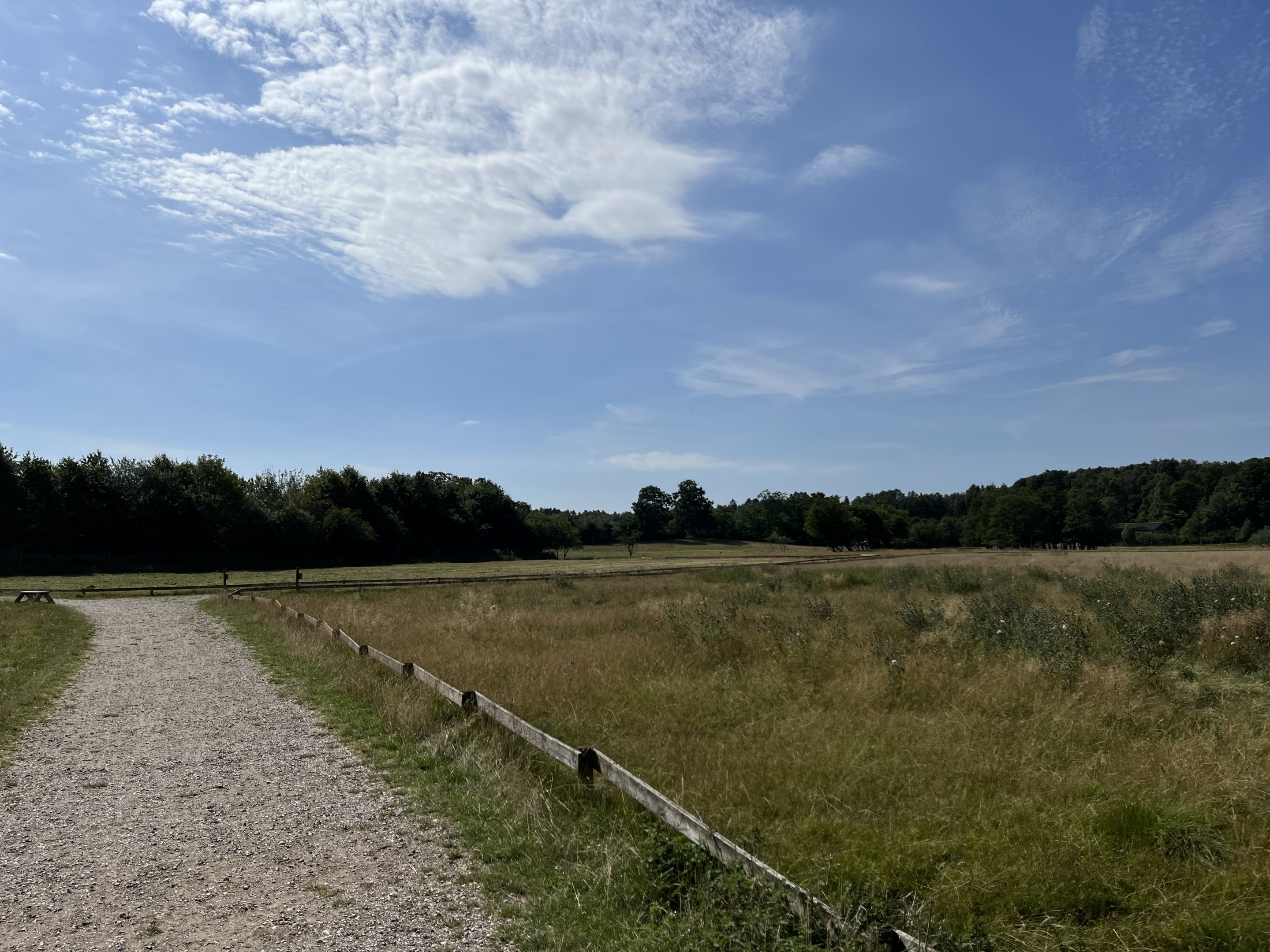 Red Deer Walk Through Exhibit