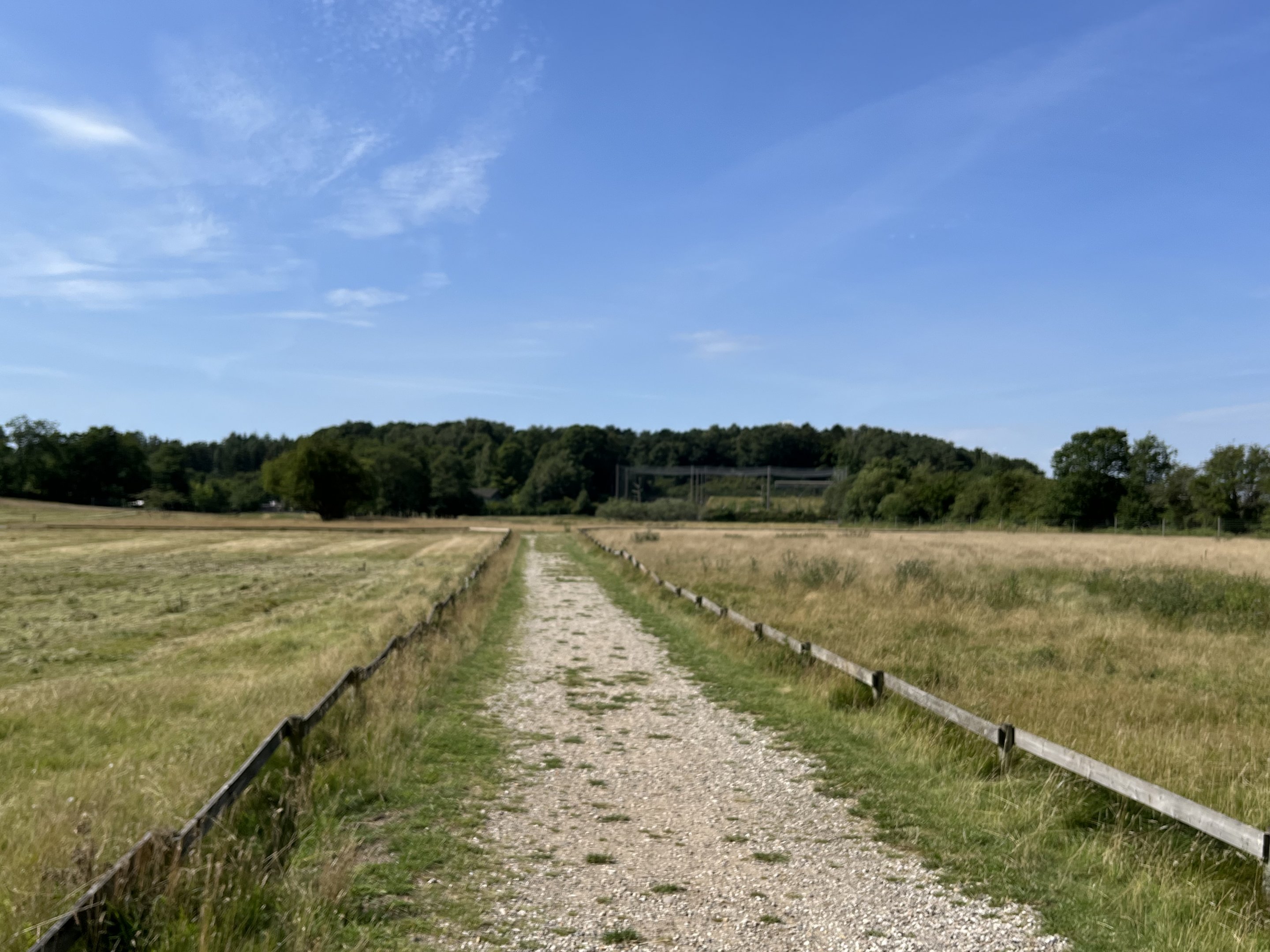 Red Deer Walk Through Exhibit