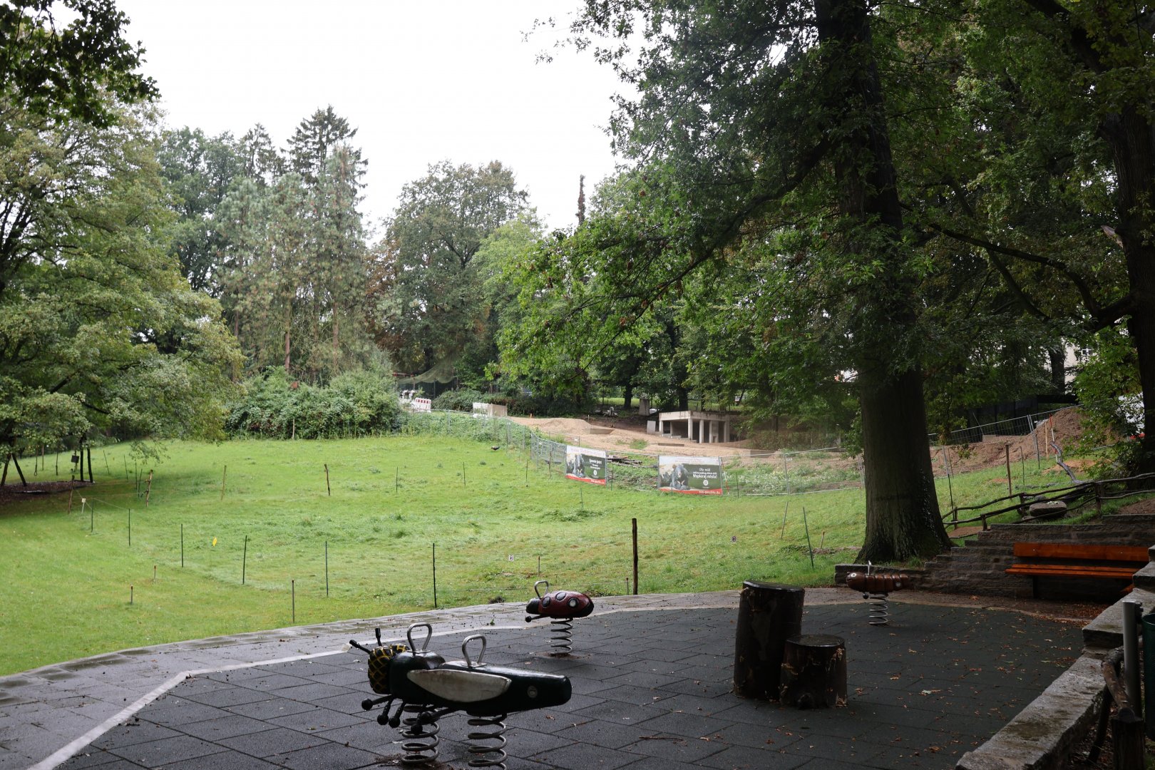 Red Dhole construction site