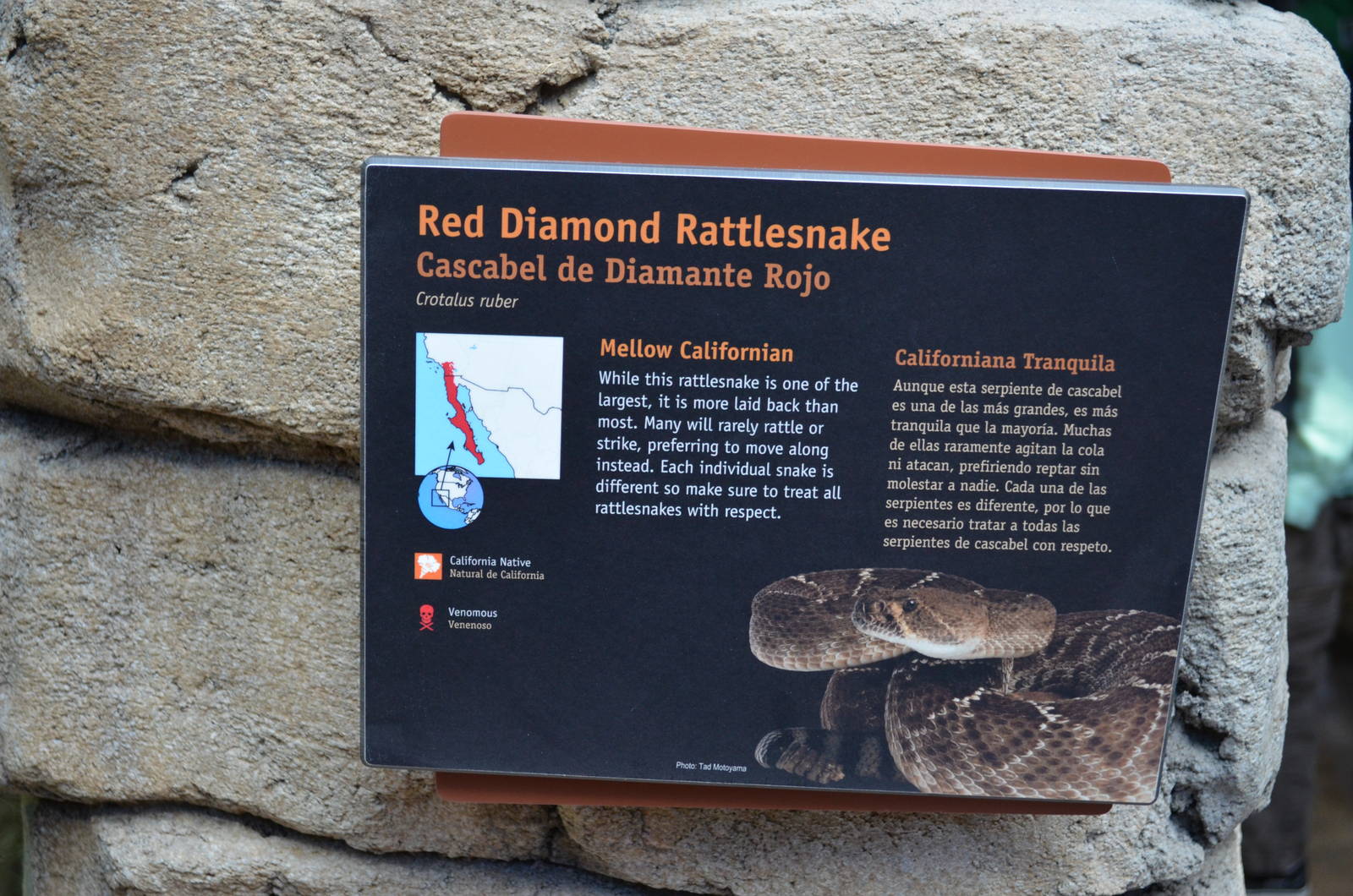 RED DIAMOND RATTLESNAKE SIGNAGE