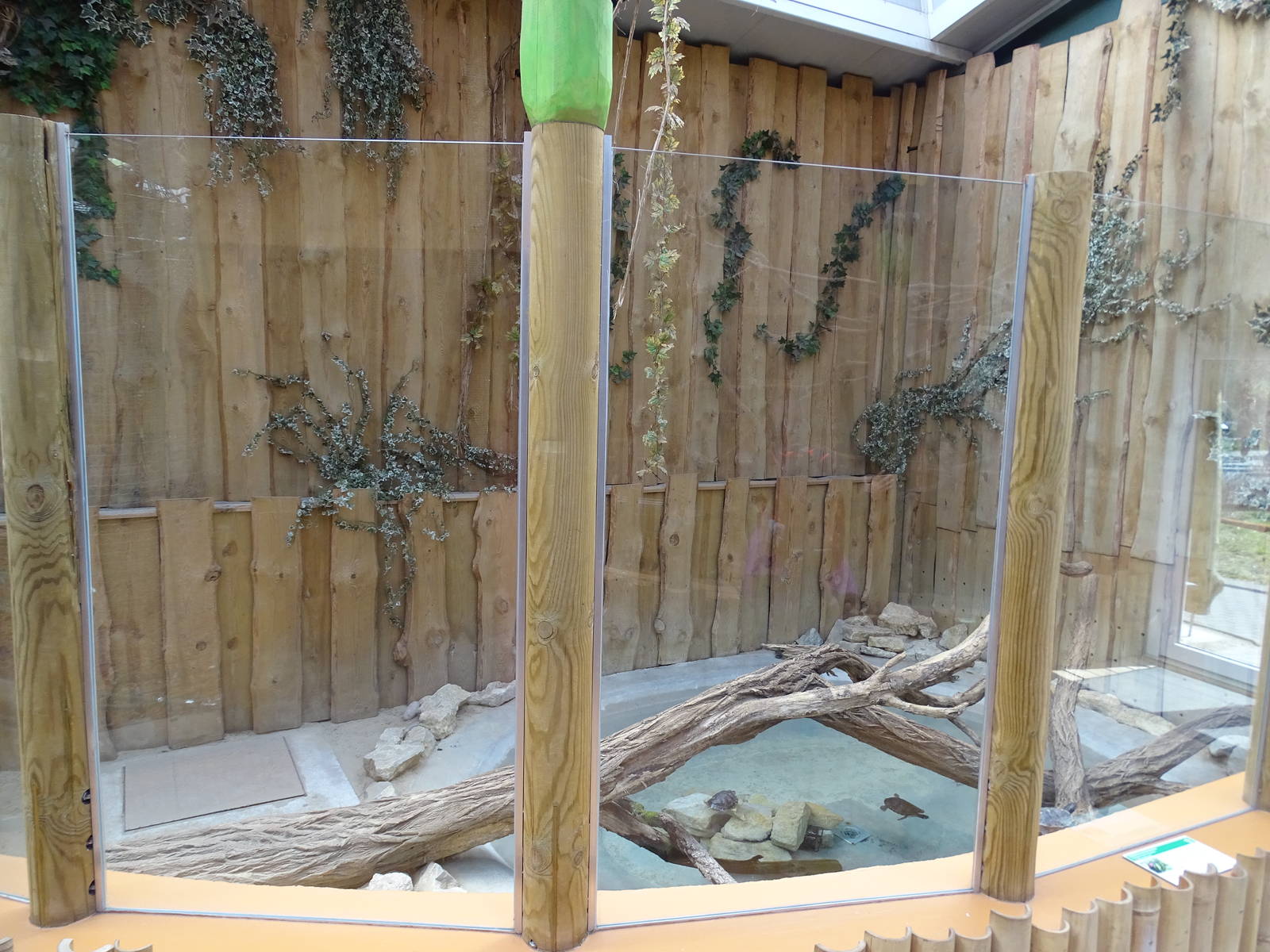 Red-eared slider enclosure