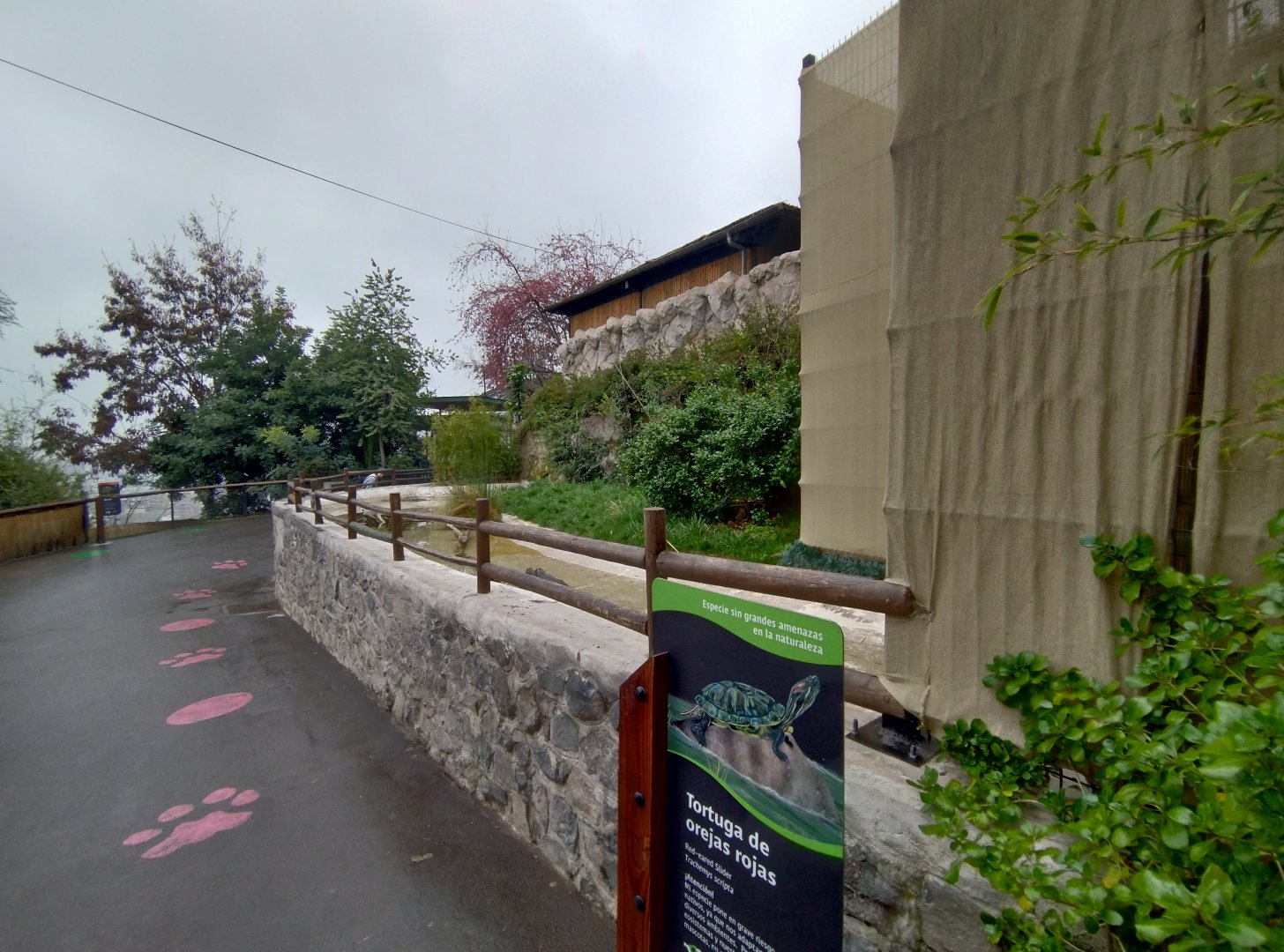 Red-eared slider exhibit - Santiago Zoo (Zoologico nacional)