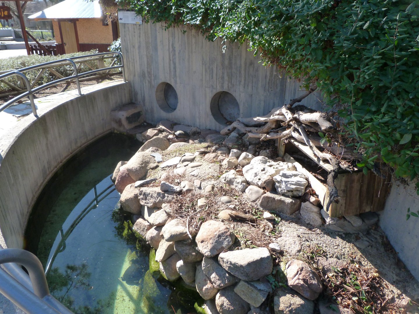 Red-eared slider exhibit -Zoo Aquarium de Madrid (2025)