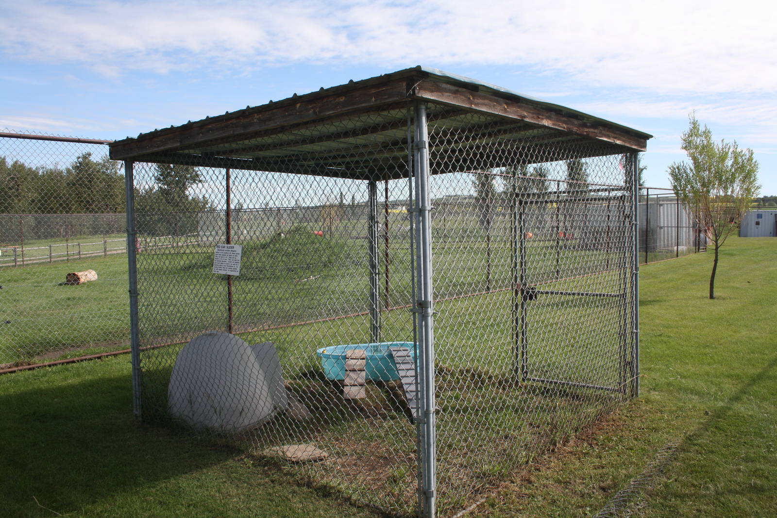 Red-Eared Slider Exhibit