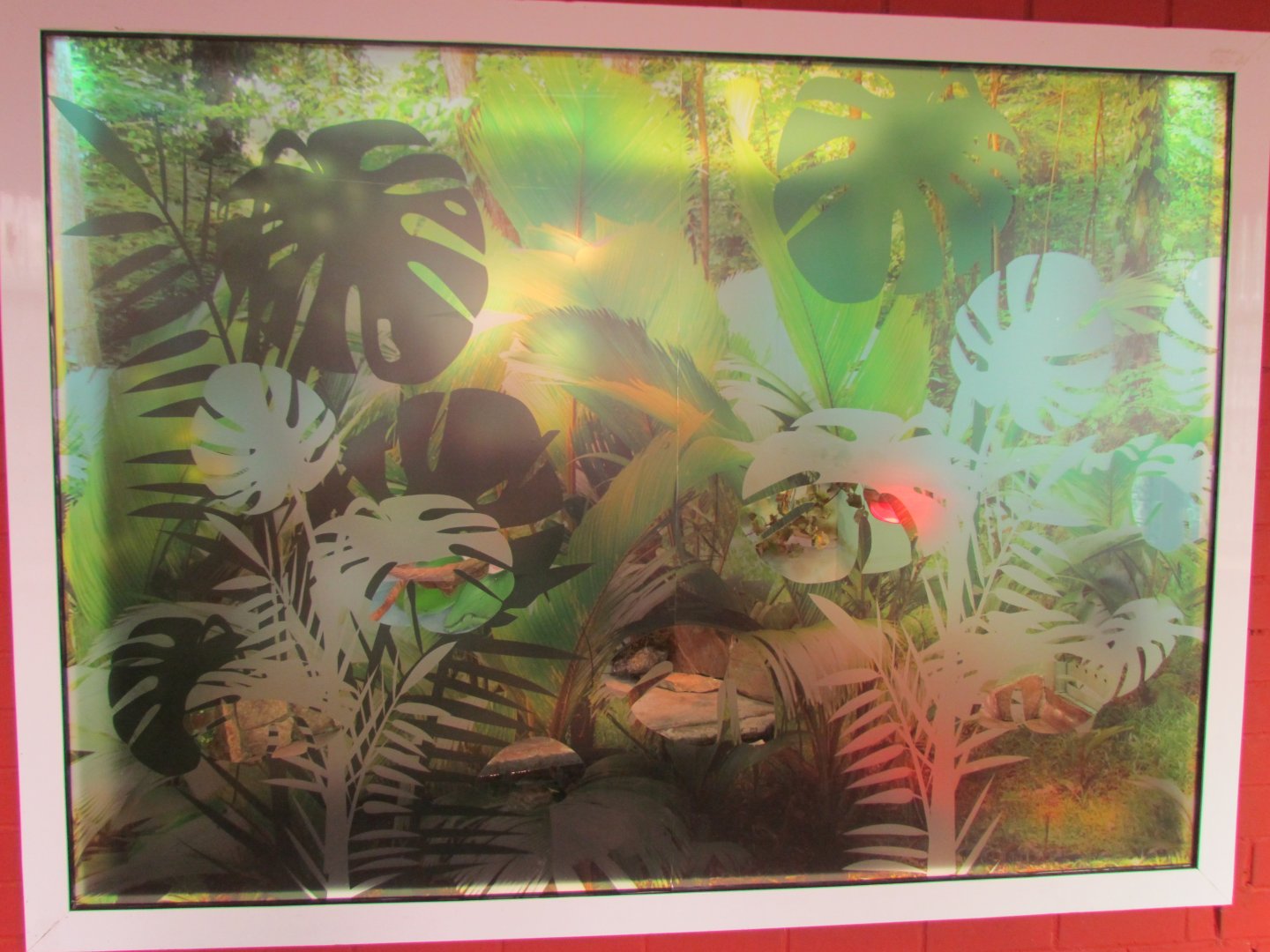 Red-eared slider exhibit