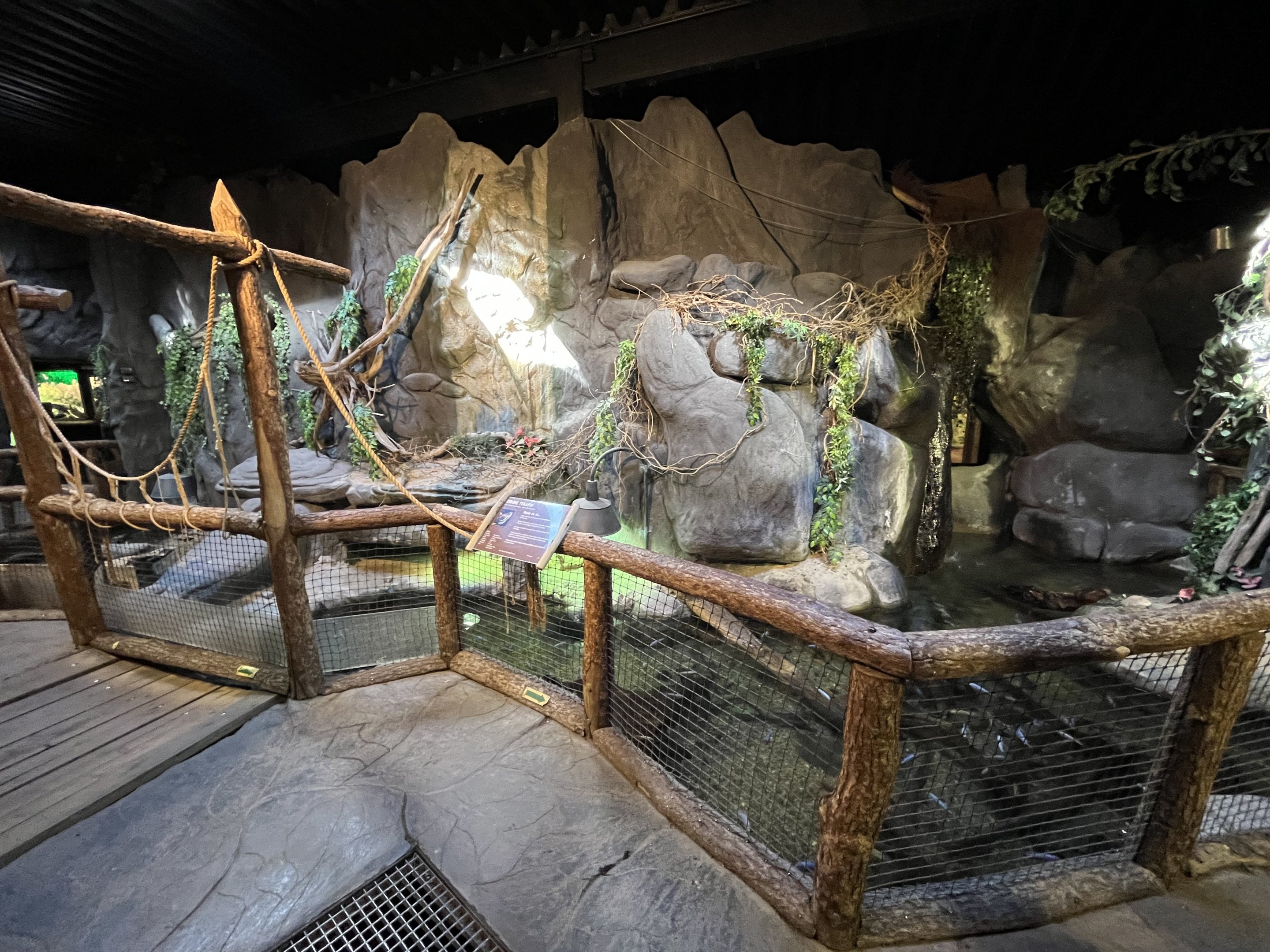 Red-eared Slider Exhibit