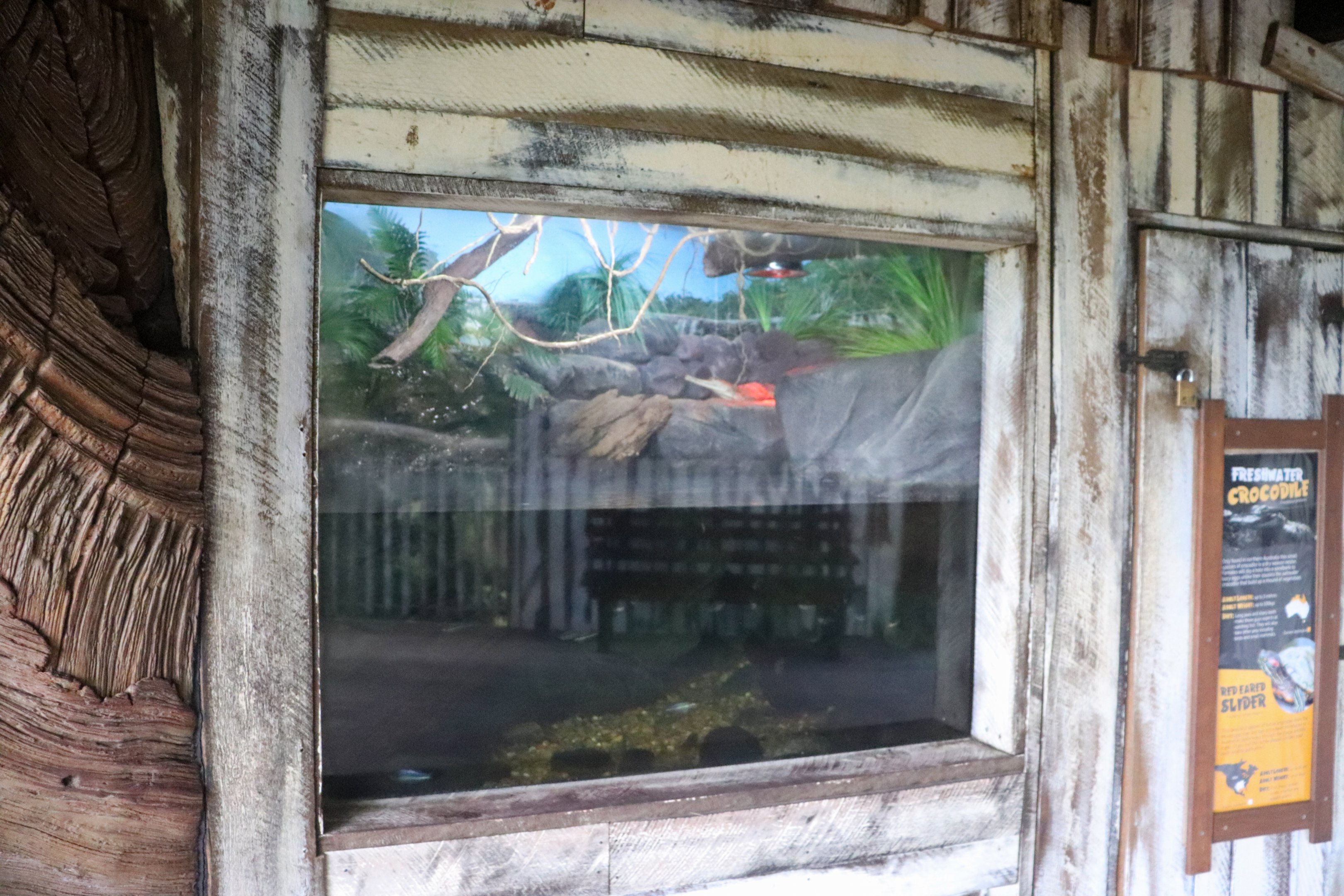 Red-eared Slider/Freshwater Crocodile Enclosure
