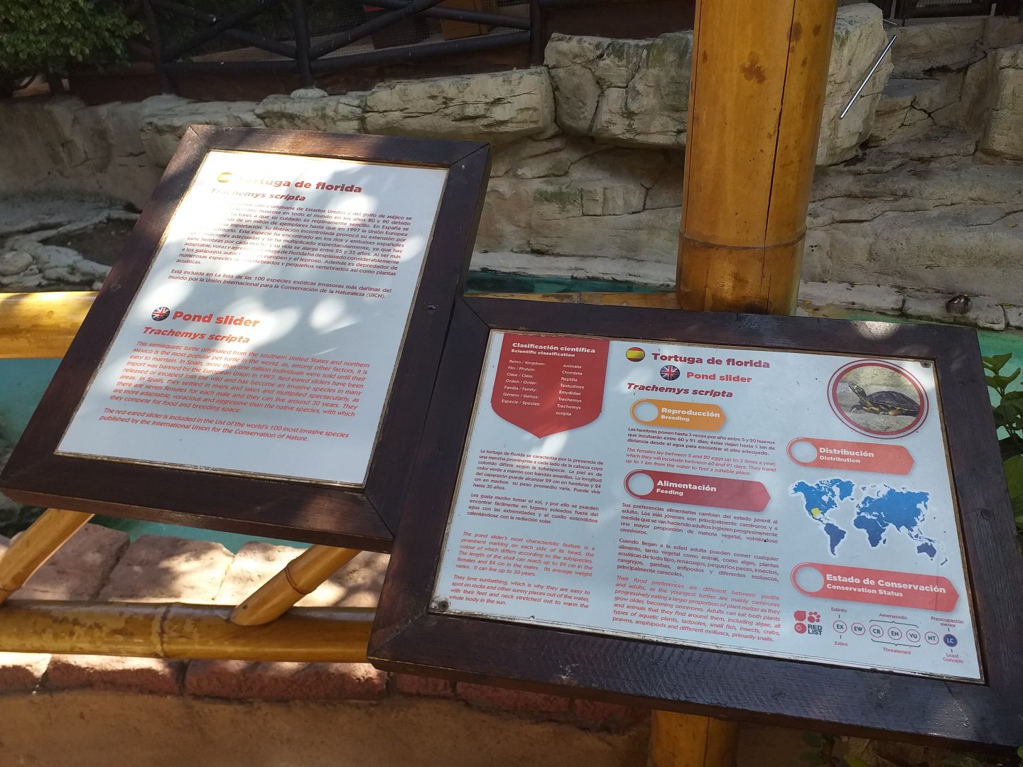 Red-eared slider sign -MundoMar Benidorm (2021)