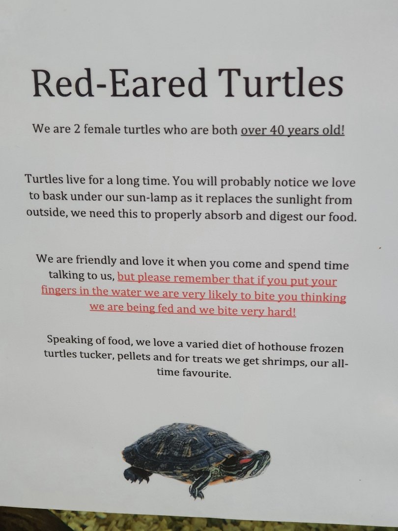 Red-eared Slider signage, Masterton Pet Shop