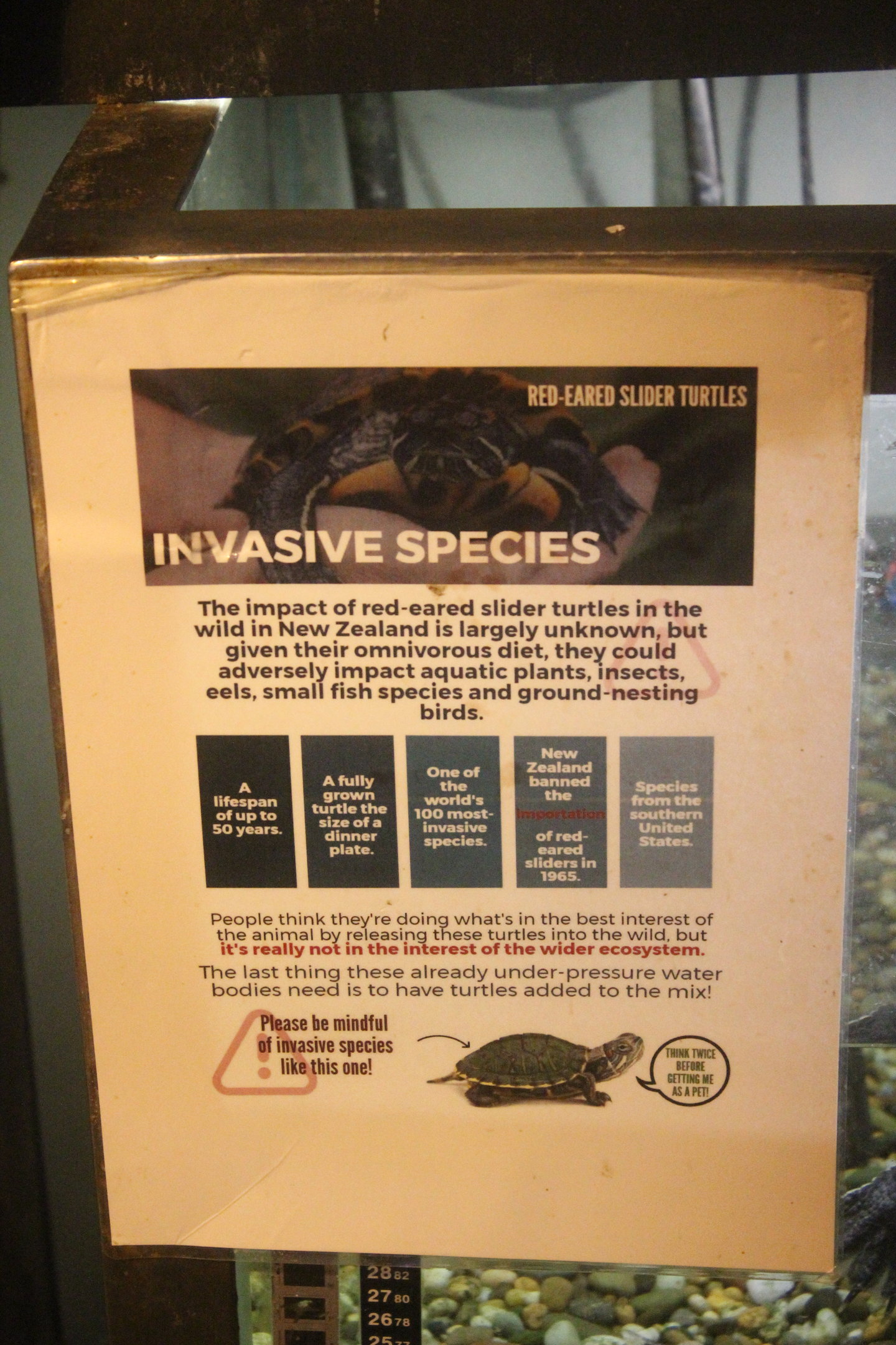 Red-eared Slider signage