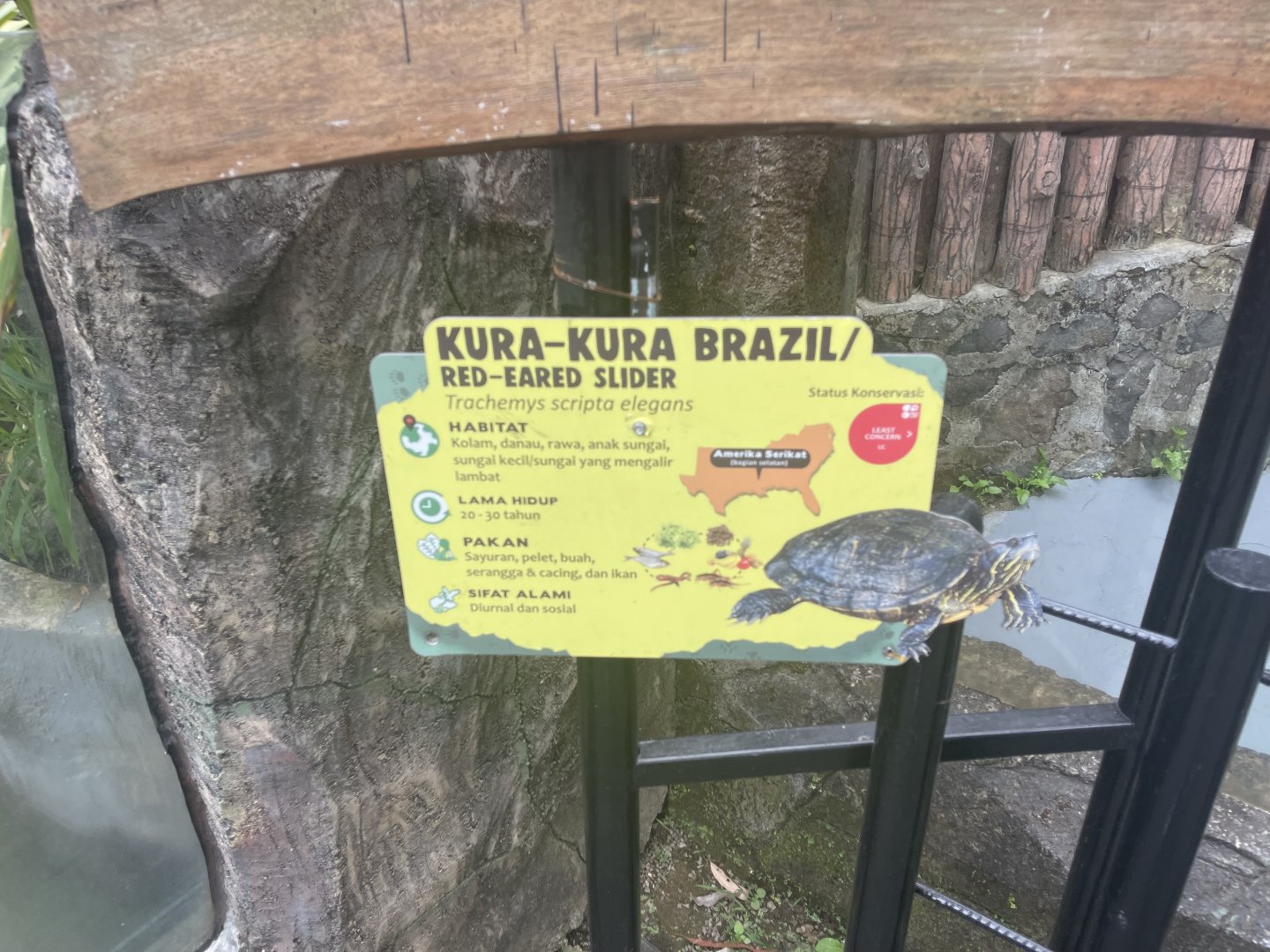 red-eared slider signage
