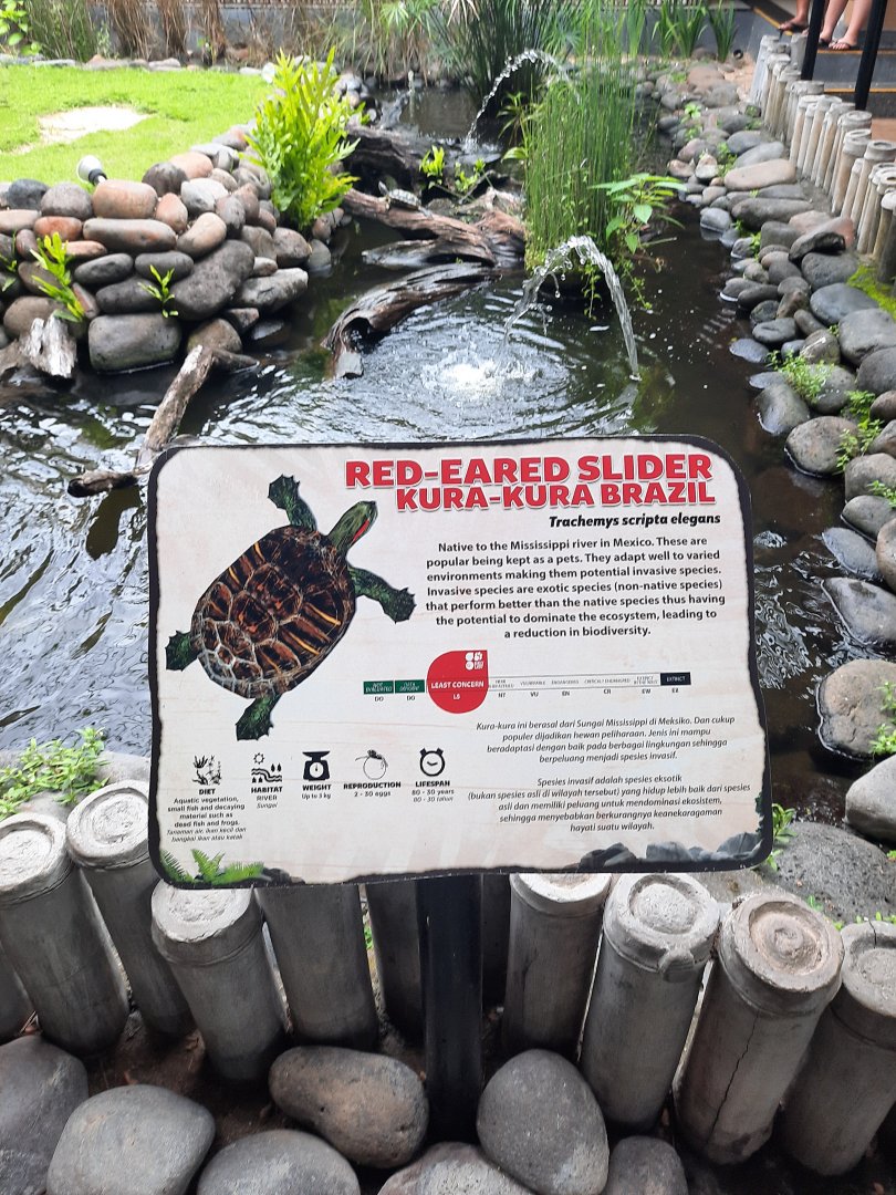 red-eared slider (trachemys scripta elegans) signage