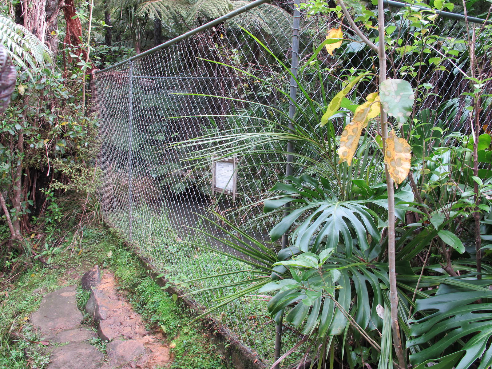 Red-Eared Terrapin Exhibit - Ti Point Reptile Park 2011