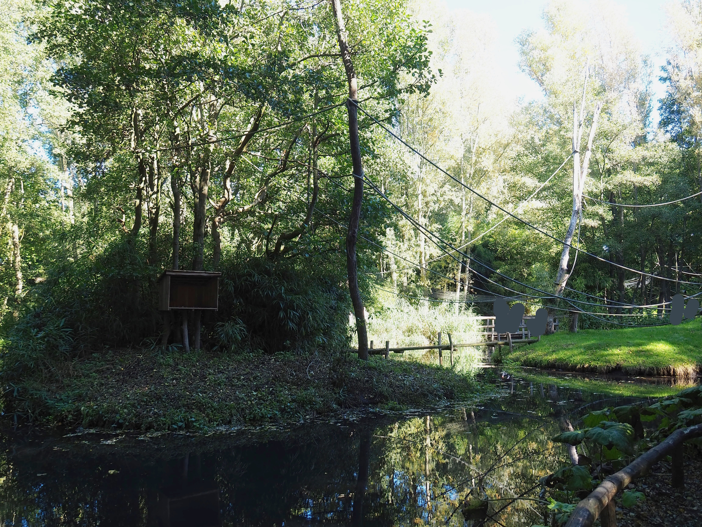 Red-faced black spider monkey and Bolivian squirrel monkey island, 2022-10-09