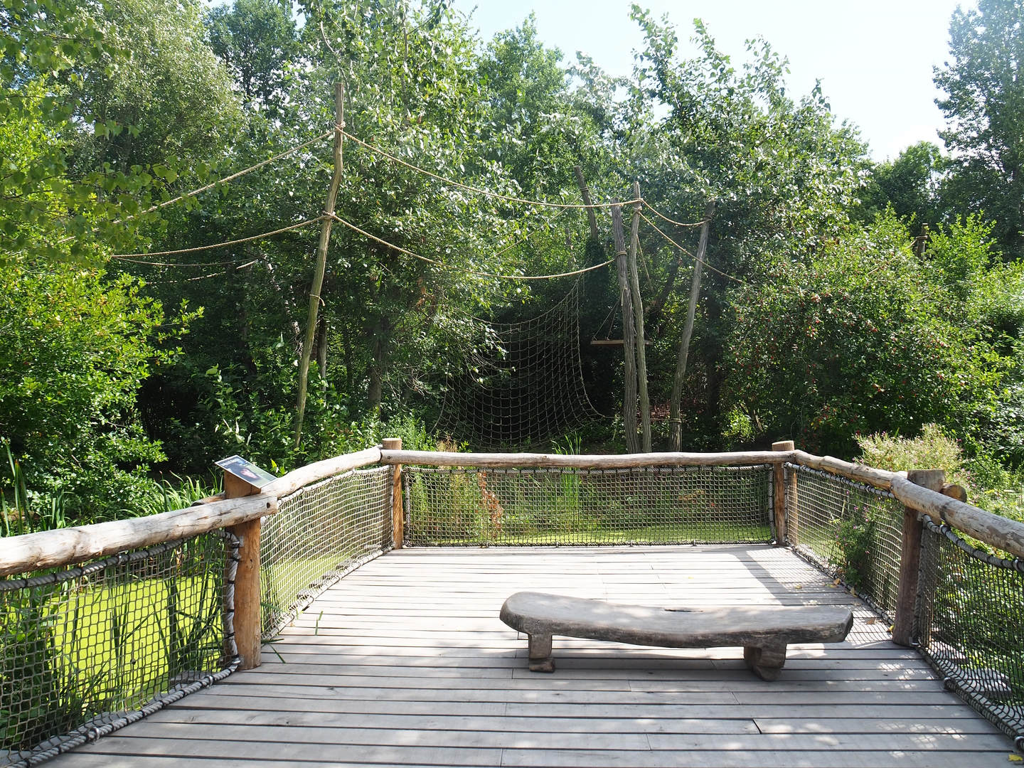 Red-faced black spider monkey island viewing area, 2022-08-20