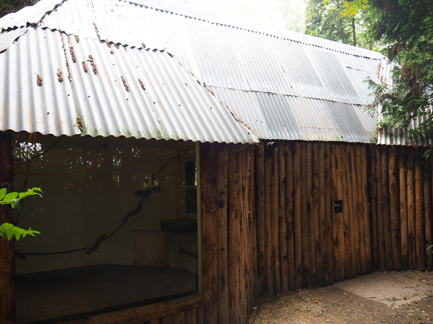 Red-faced spider monkey and Bolivian squirrel monkey house, 2019-08-11
