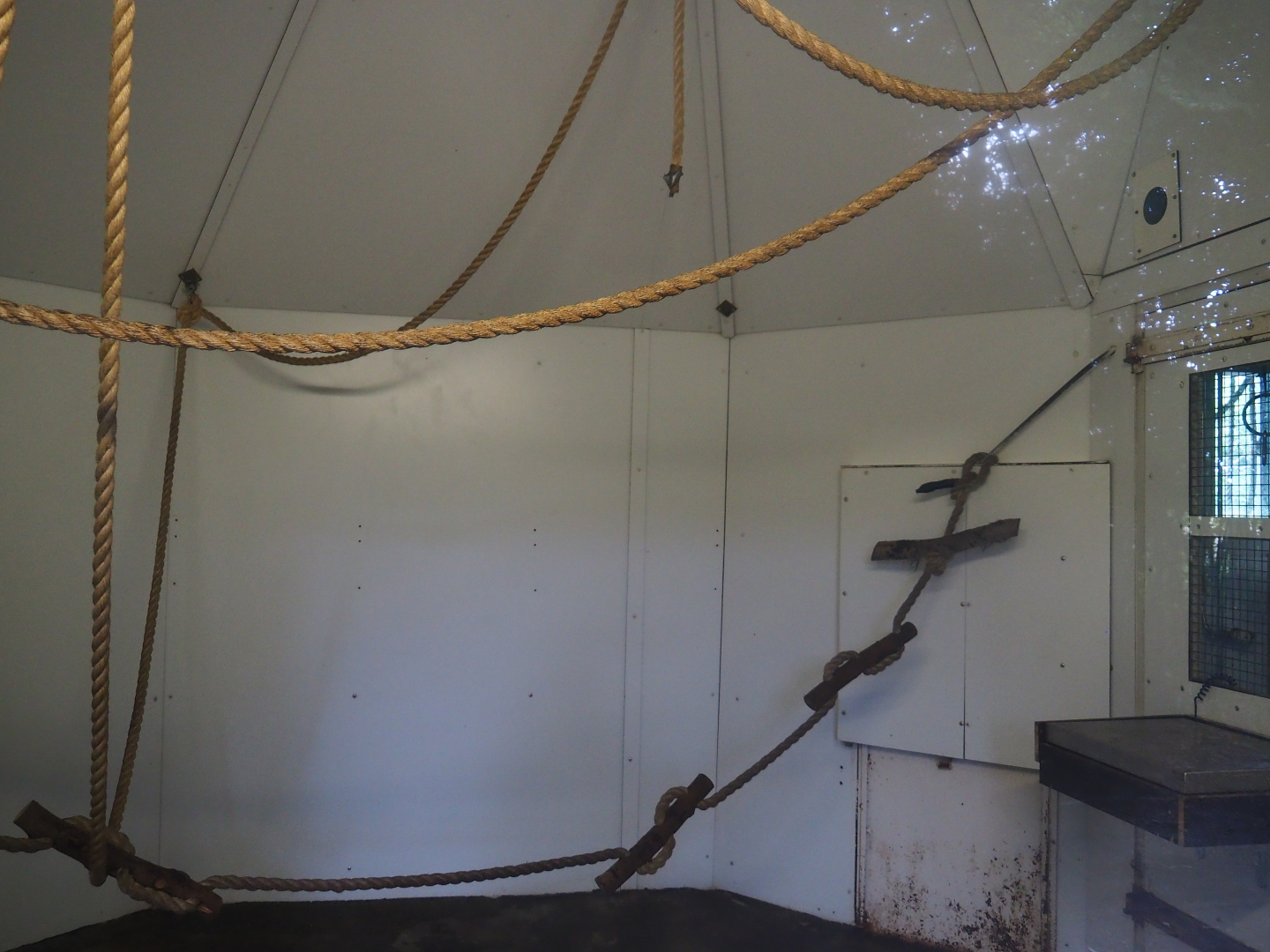 Red-faced spider monkey and Bolivian squirrel monkey indoor housing, 2019-08-11