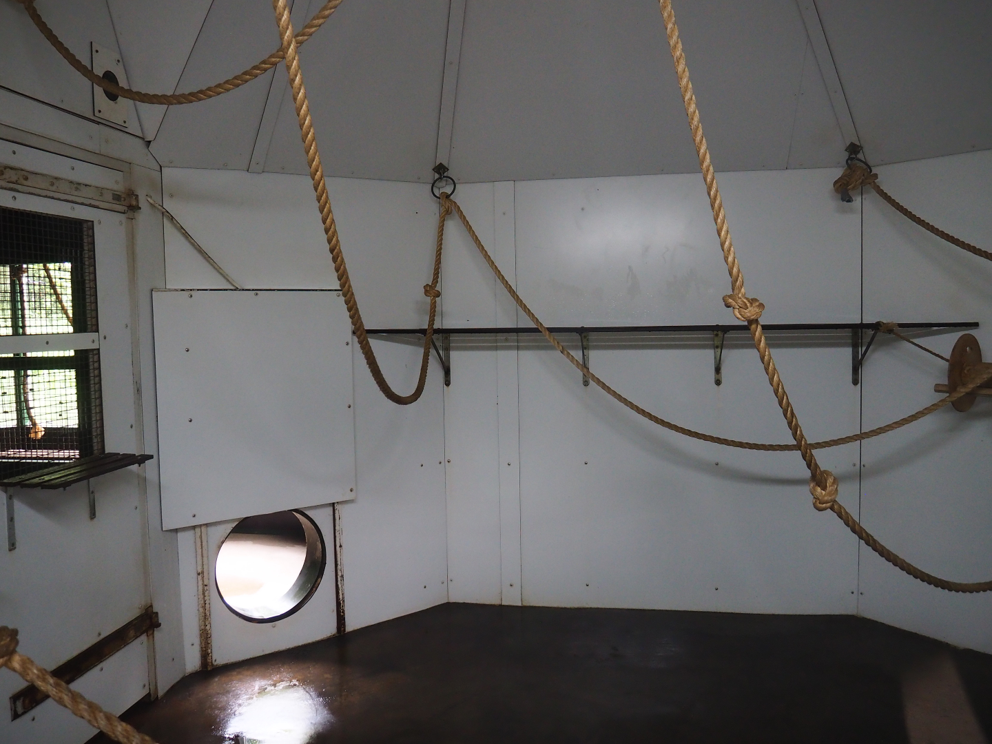 Red-faced spider monkey and Bolivian squirrel monkey indoor housing, 2019-08-11