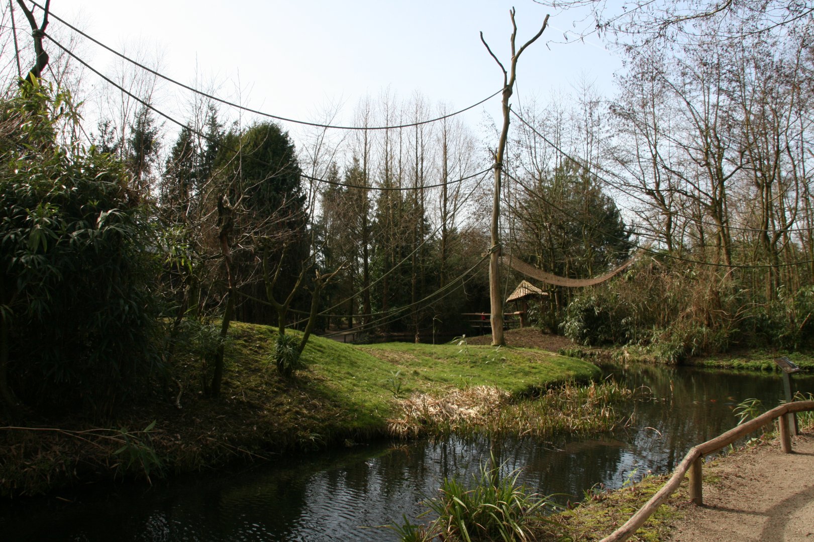 Red-faced spider monkey and Bolivian squirrel monkey islands