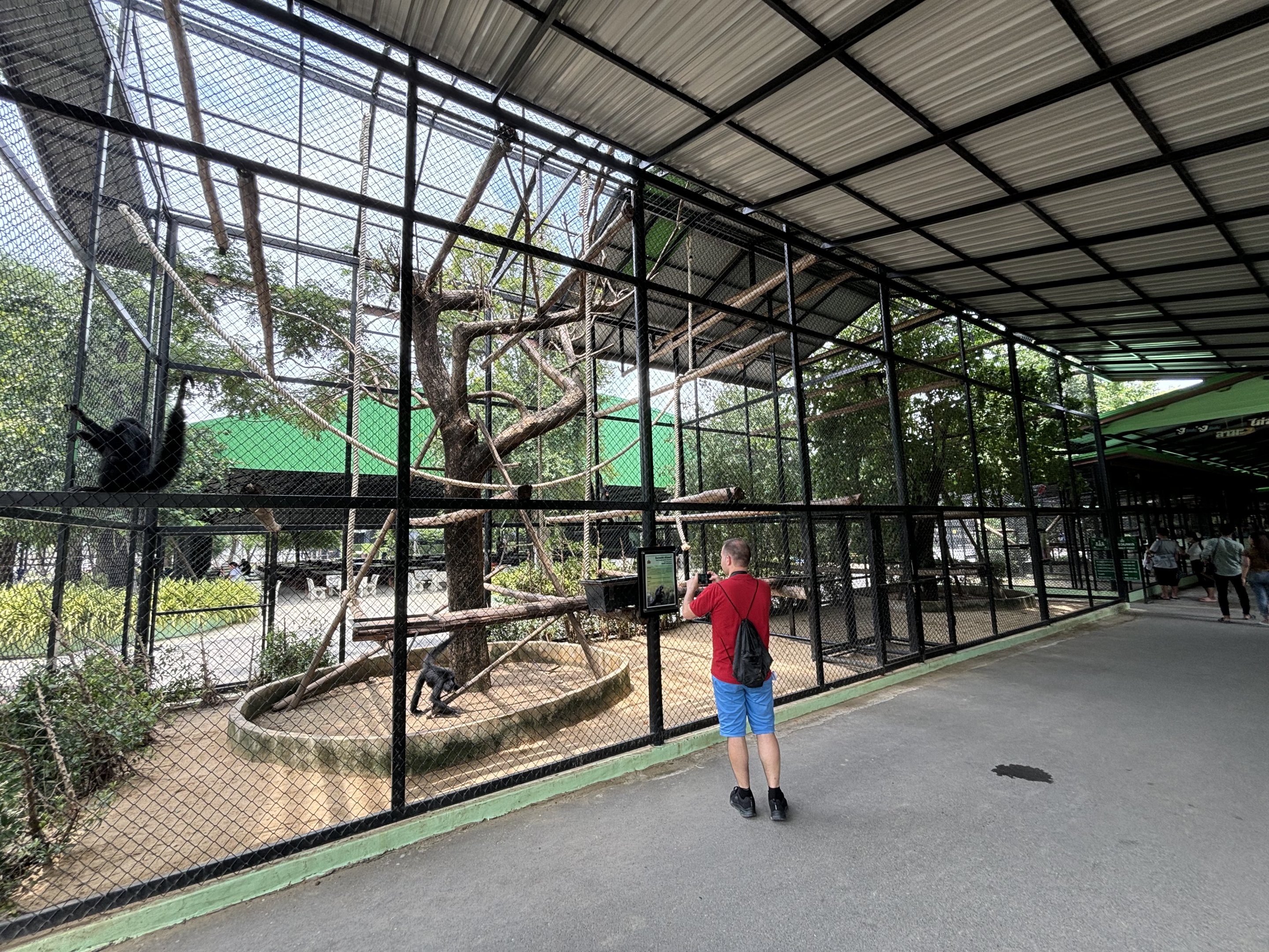 Red-faced Spider Monkey Exhibit - Lion Park