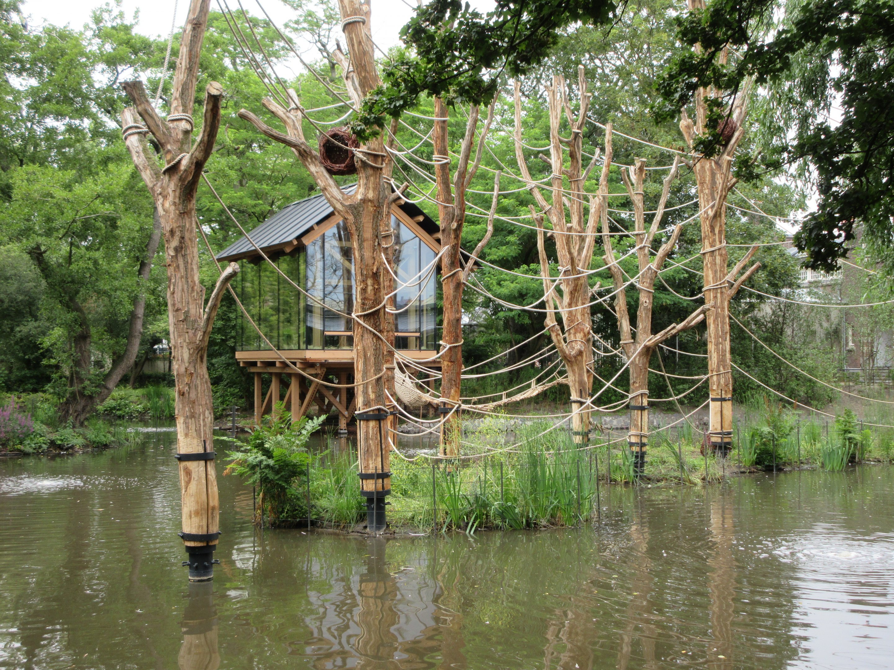 Red-faced Spider Monkey Exhibit (New in 2019)