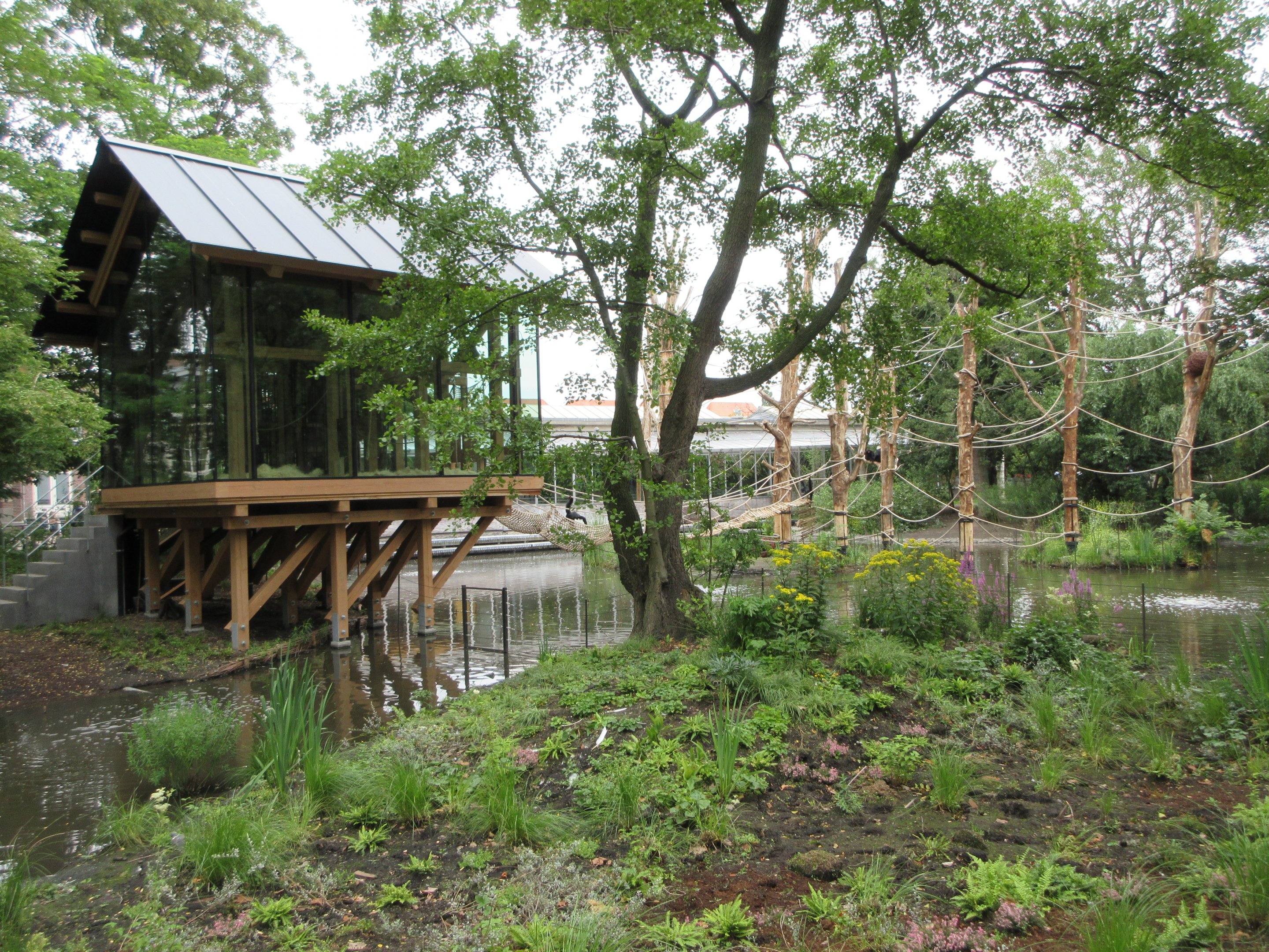 Red-faced Spider Monkey Exhibit (New in 2019)