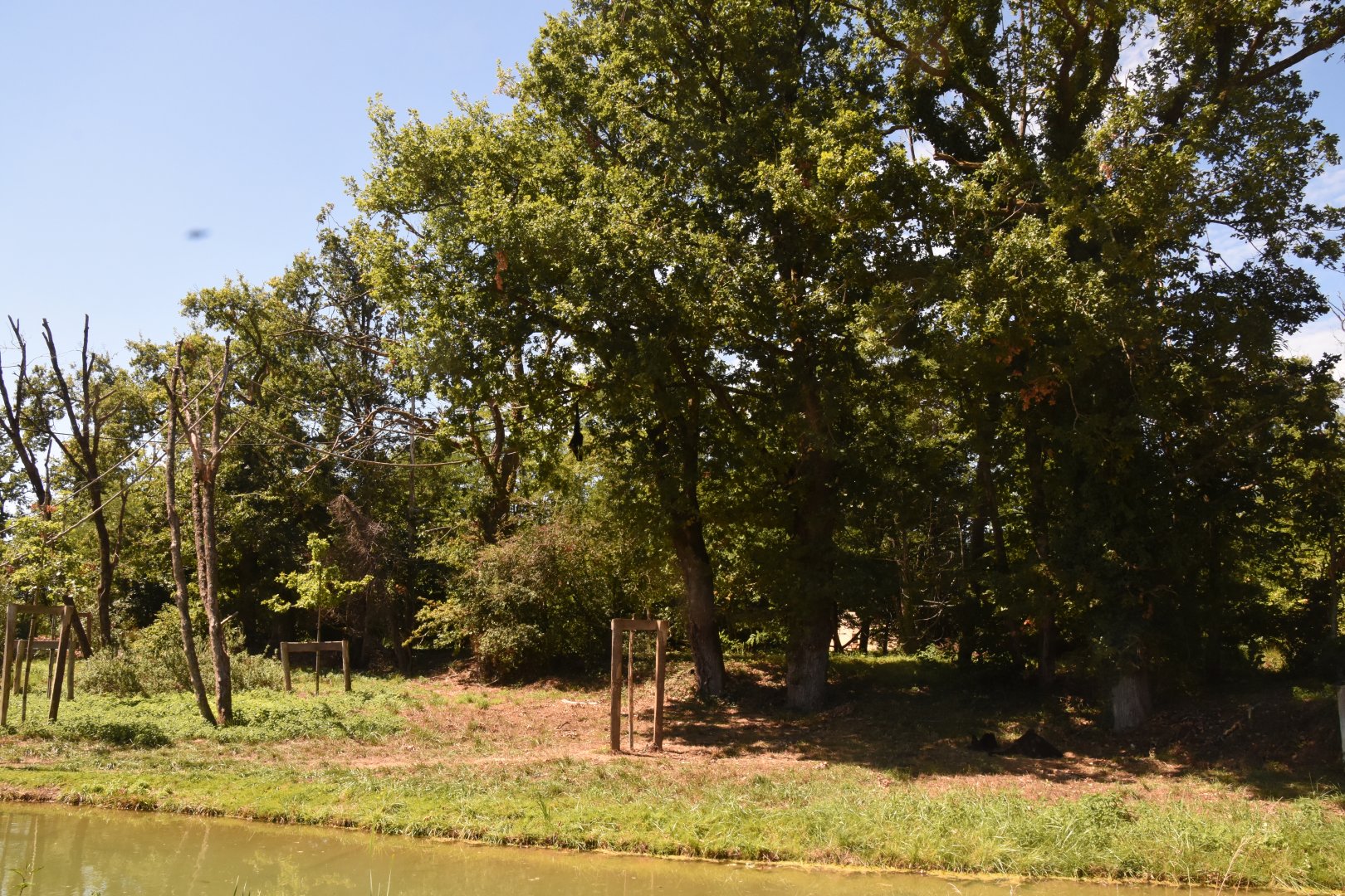 Red-faced Spider Monkey island (right part)