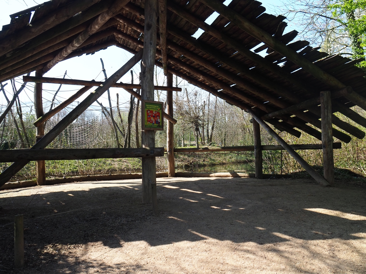 Red-faced spider monkey viewing shelter within the squirrel monkey forest, 2019-03-30