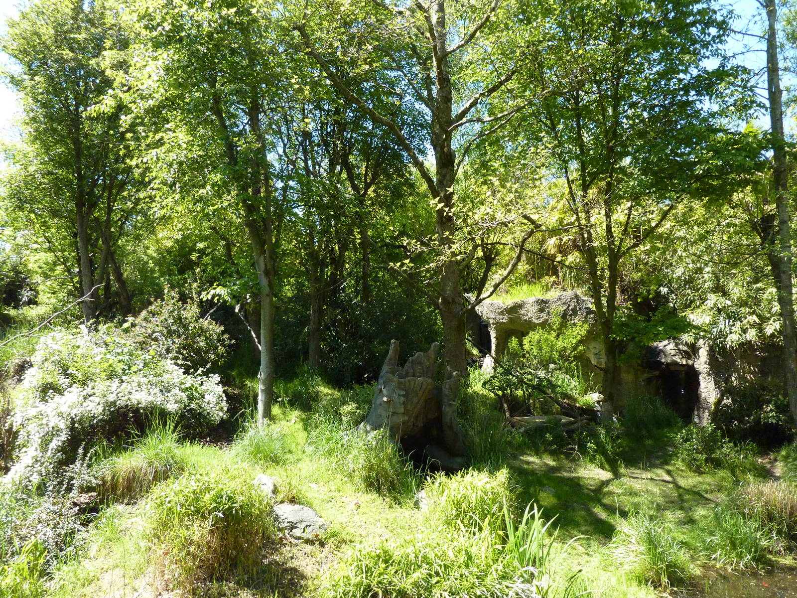 Red-Flanked Duiker/Colobus Monkey Exhibit