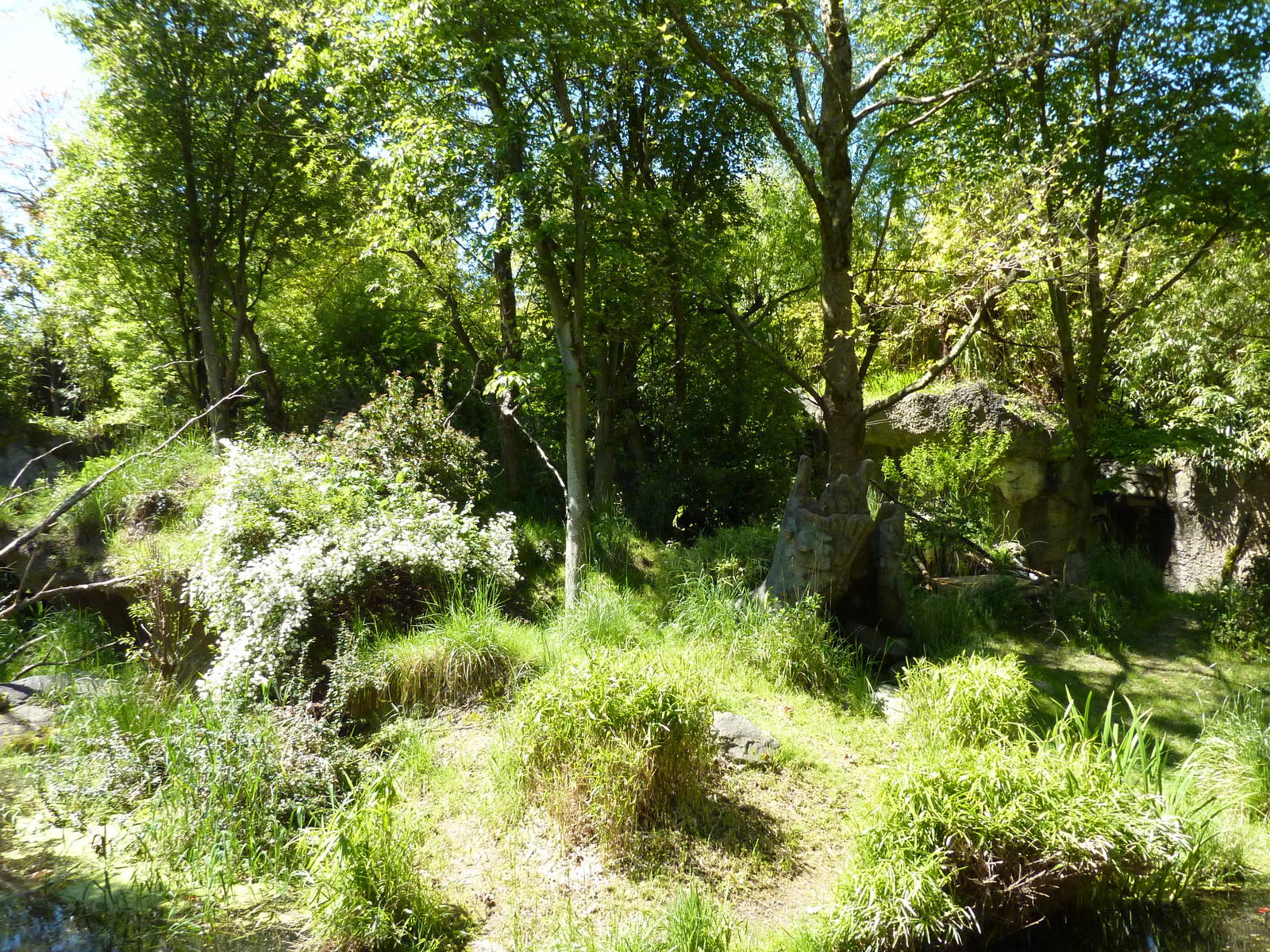 Red-Flanked Duiker/Colobus Monkey Exhibit