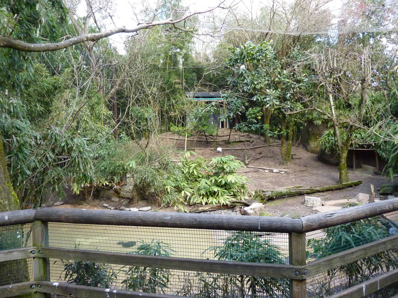 Red-Flanked Duiker/Ibis/Stork Exhibit