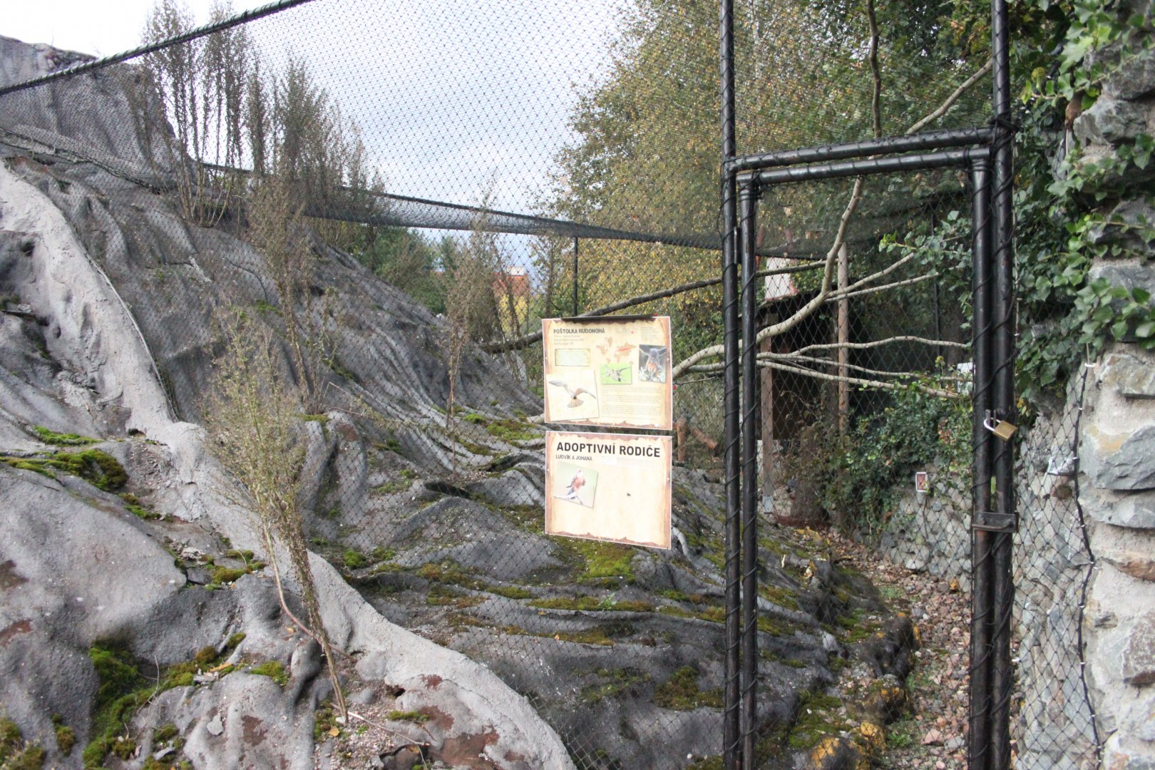 Red-footed falcon aviary