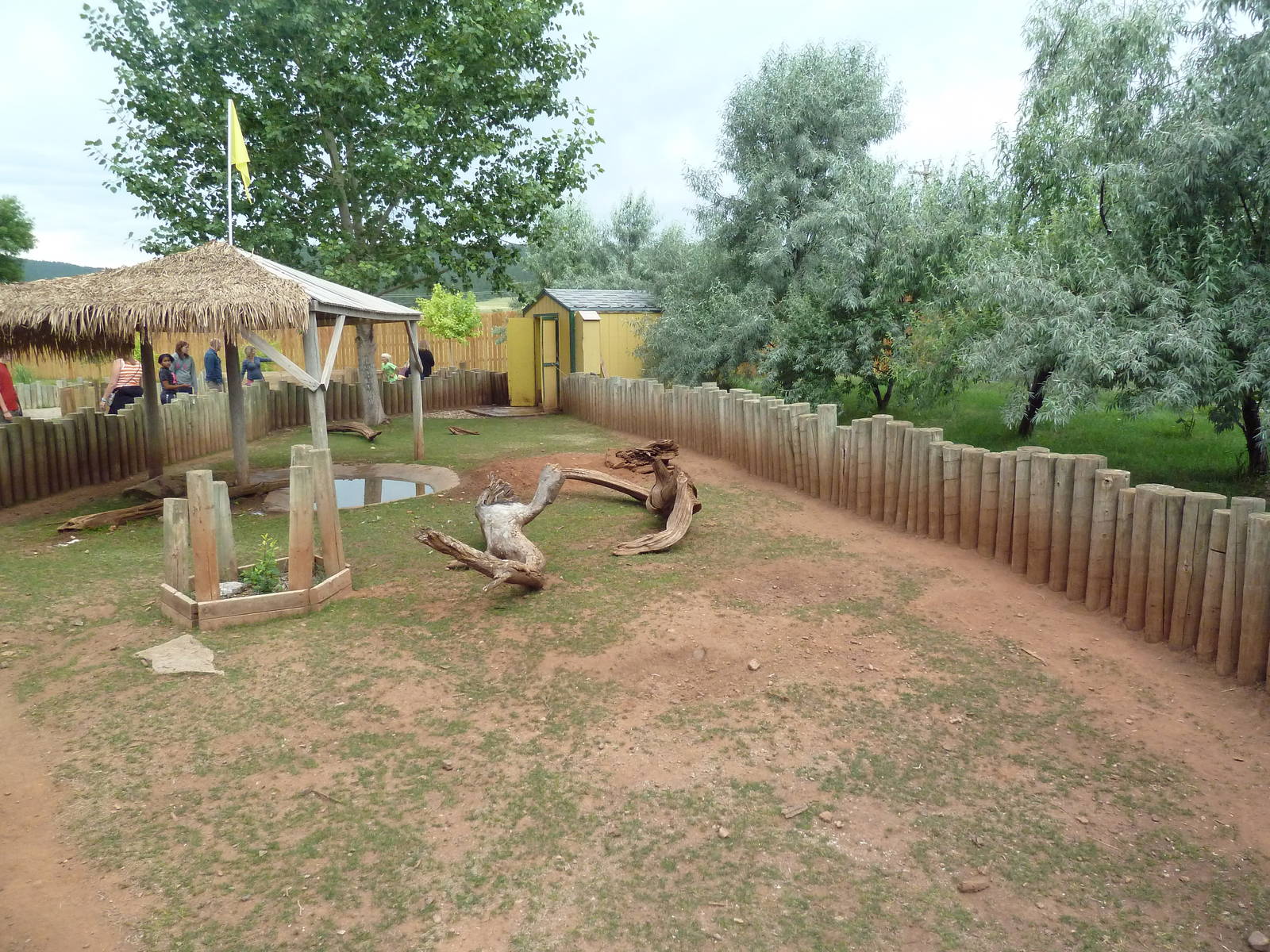 Red-Footed Tortoise/African Spurred Tortoise Exhibit