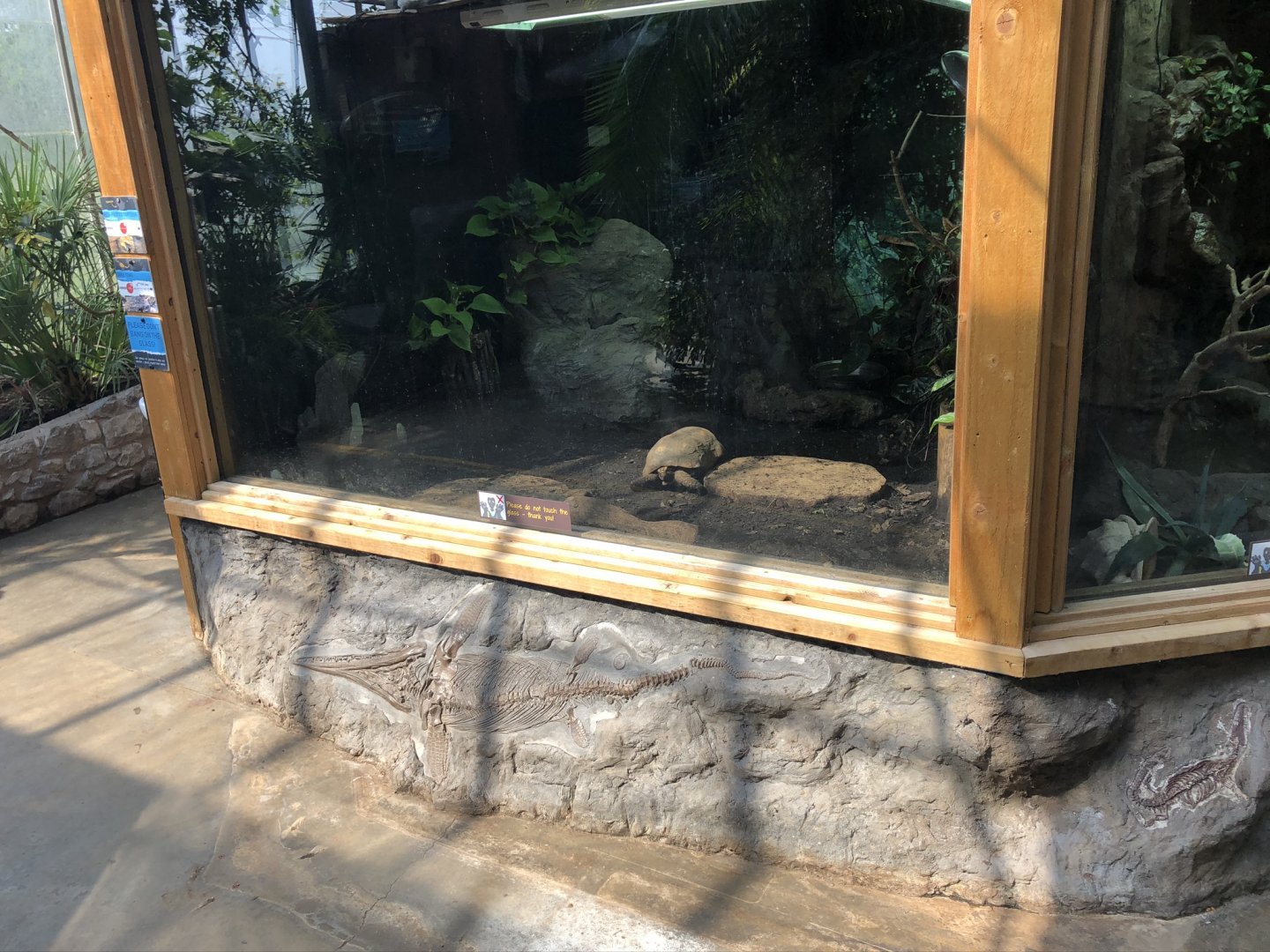 Red-footed Tortoise and Cane Toad Enclosure at Lakeland Wildlife Oasis (2020)