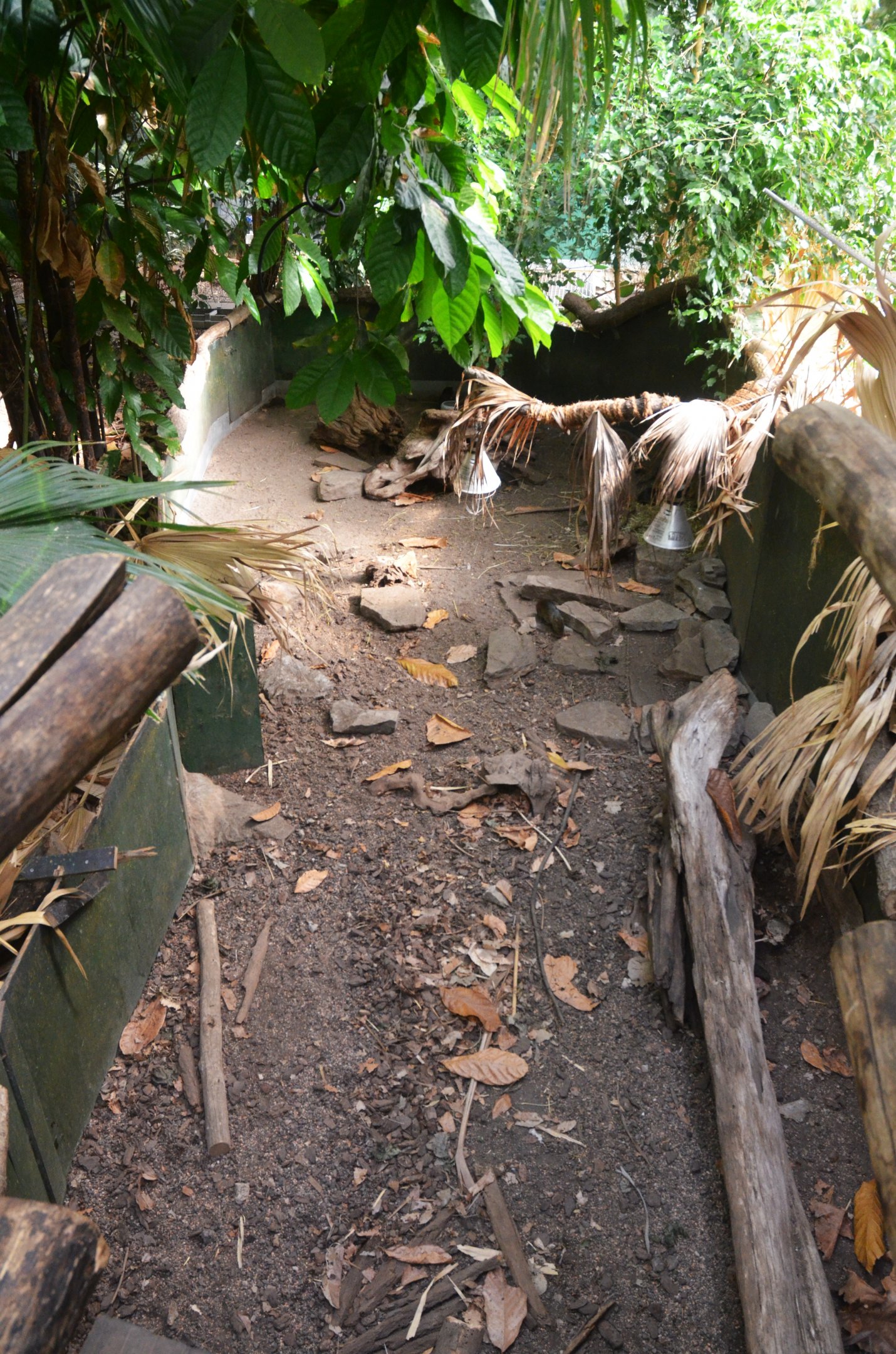 Red-footed Tortoise and Giant Cavy Enclosure in Rio Negro at Duisburg, 17/06/19