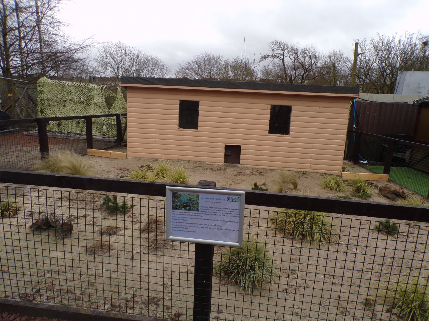 Red-footed tortoise enclosure (formerly fennec) 12.4.24