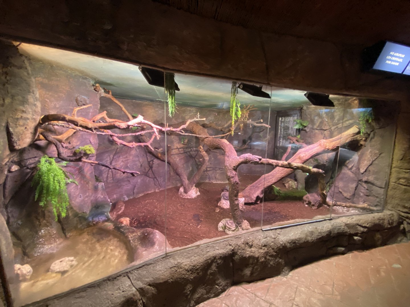 Red-footed tortoise enclosure