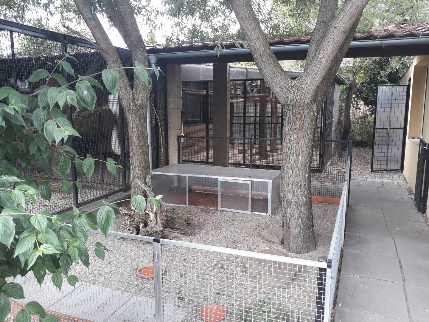 Red-footed tortoise exhibit and Java macaque exhibit behind