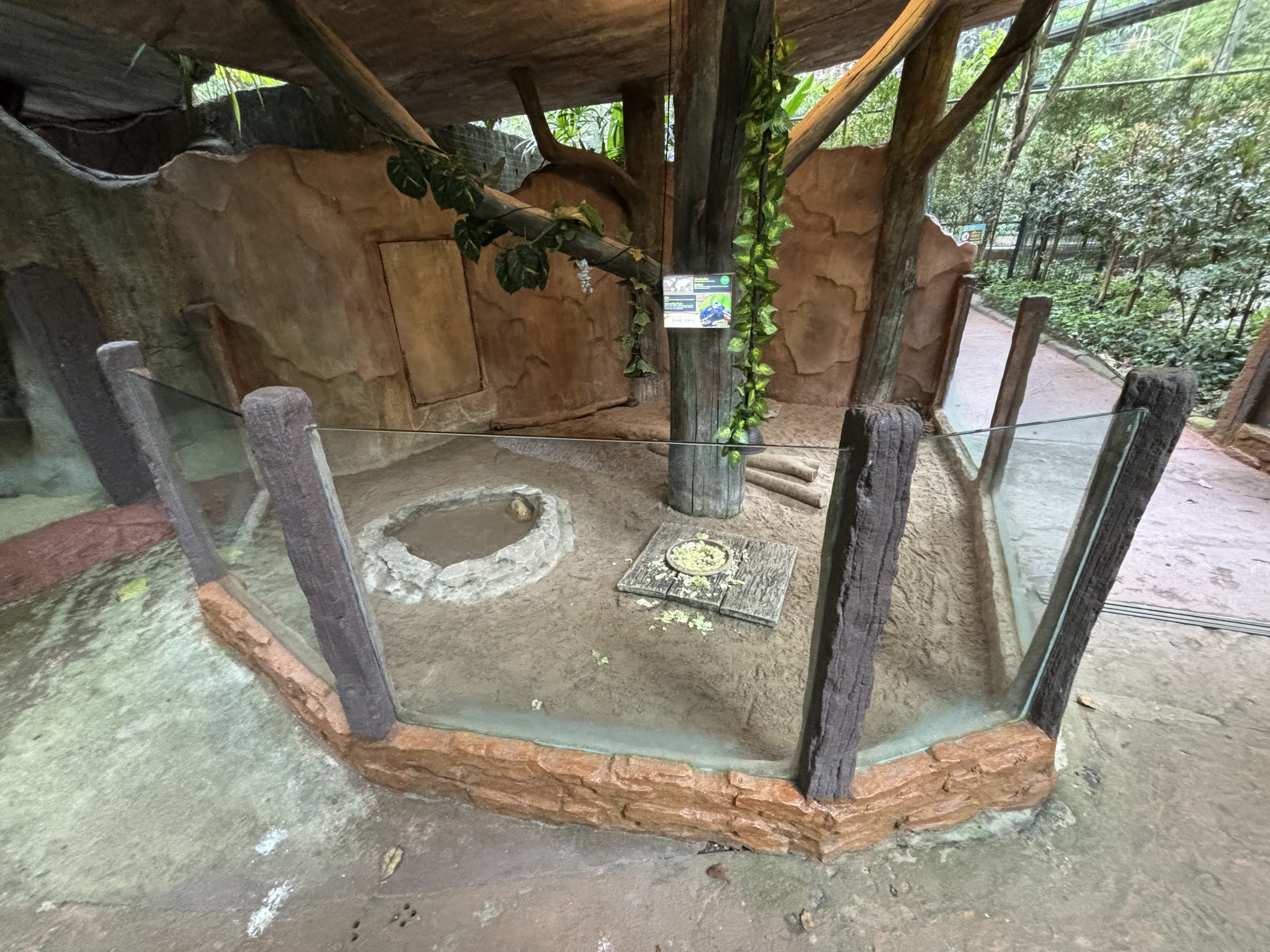 Red-footed Tortoise Exhibit - Lost World of Tambun