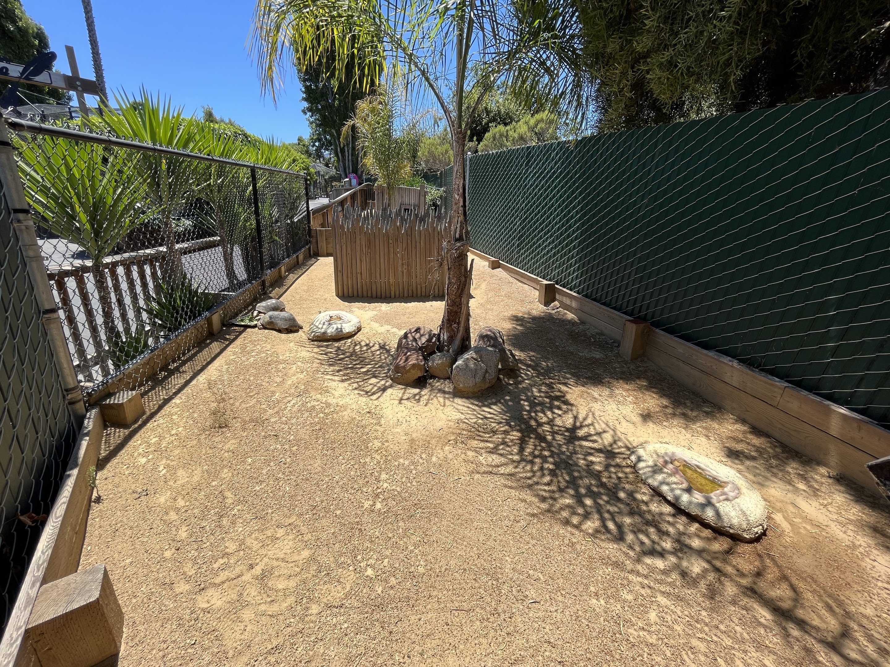 Red-footed Tortoise Exhibit