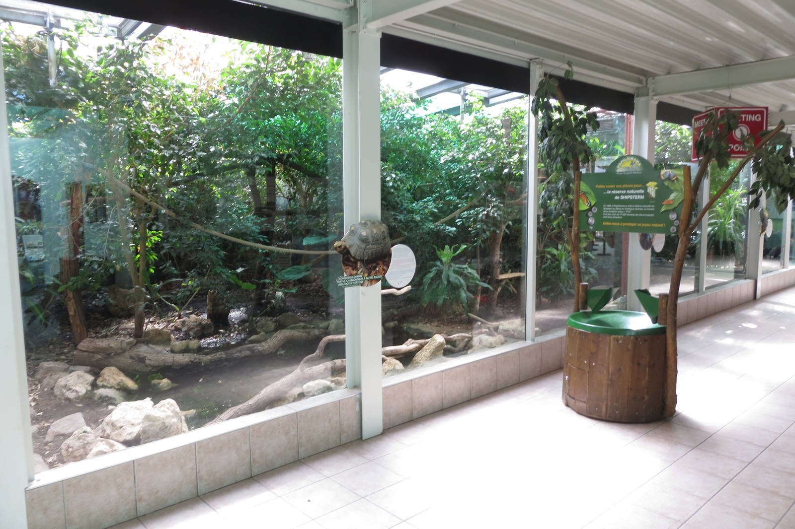 Red-footed Tortoise, Grey-winged Trumpeter, Goeldi Monkey Enclosure 130816