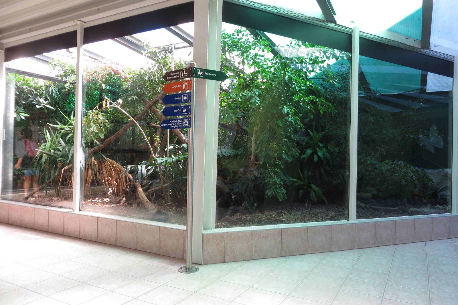Red-footed Tortoise, Grey-winged Trumpeter, Goeldi Monkey Enclosure 130816