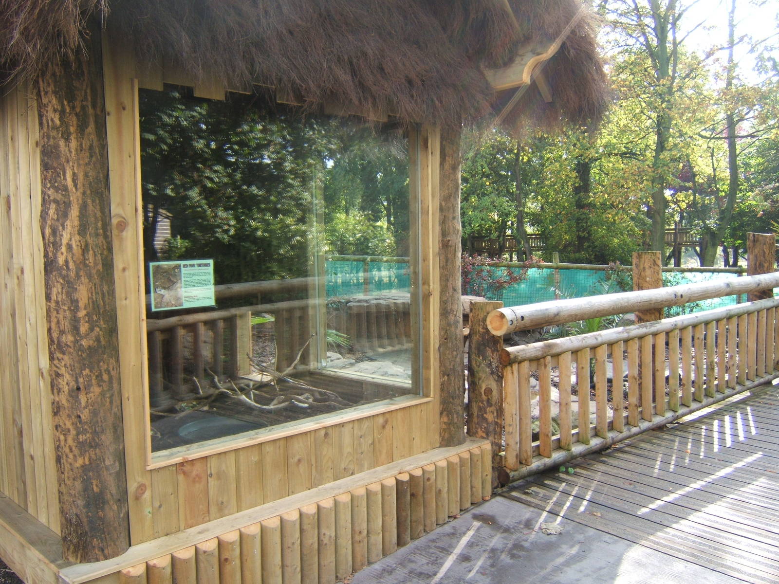 Red-footed Tortoise House